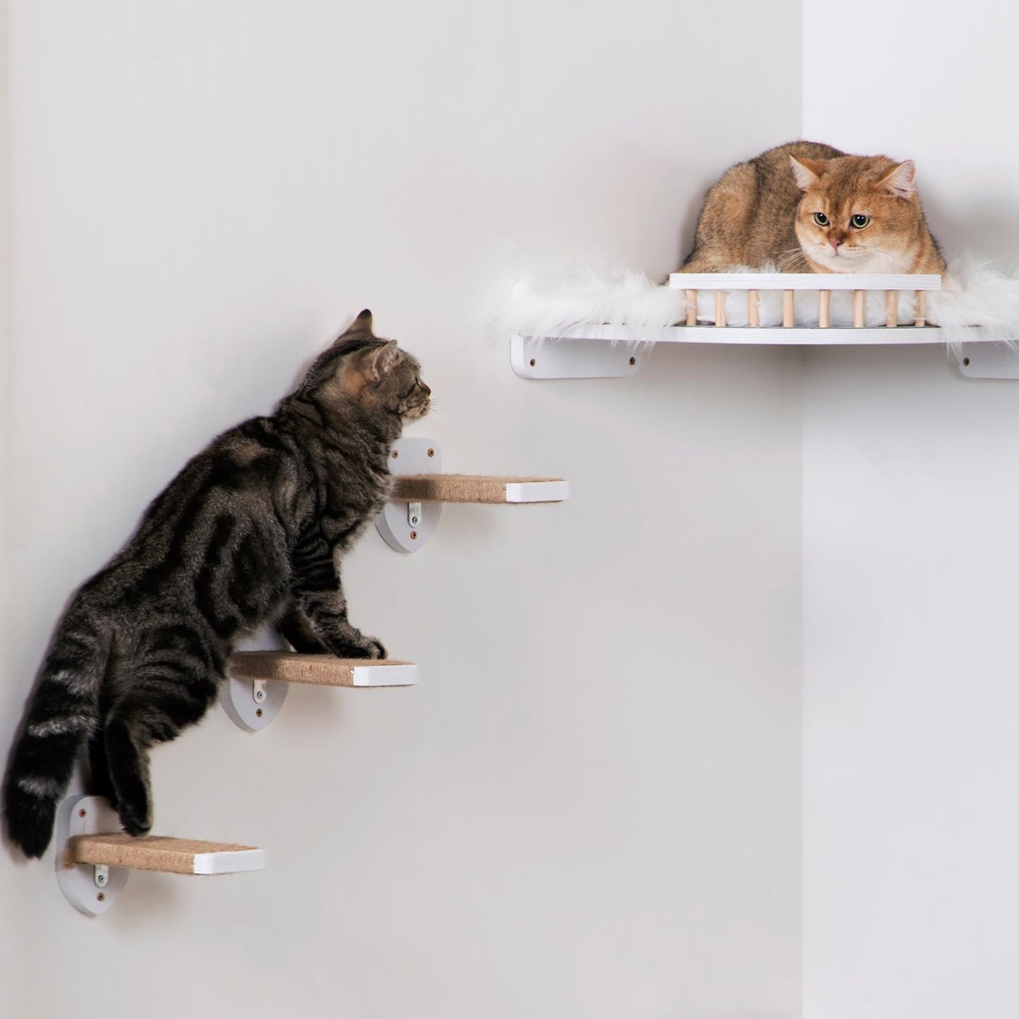 3pcs Wall Mounted Cat Steps, Climbing Furniture, Shelves With Hemp Rope Covered, Solid Wood Ladder for Playing and Climbing (Standard-White)