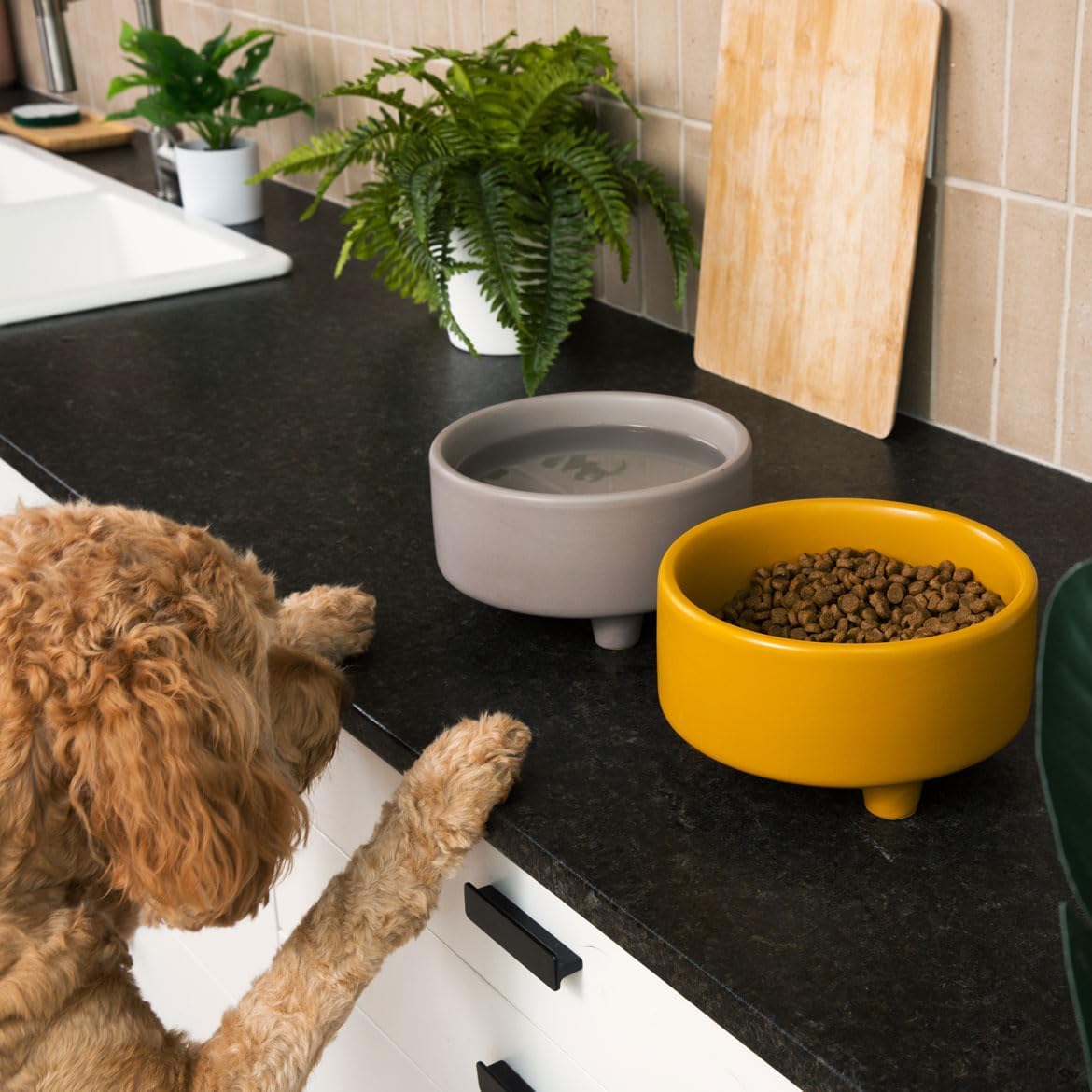 Waggo Uplift Ceramic Dog Bowl for Small Medium and Large Breeds - Heavyweight and Durable Pet Food and Water Dish Crock, Dishwasher Safe, Modern, Elevated Feeder (Olive, Large)