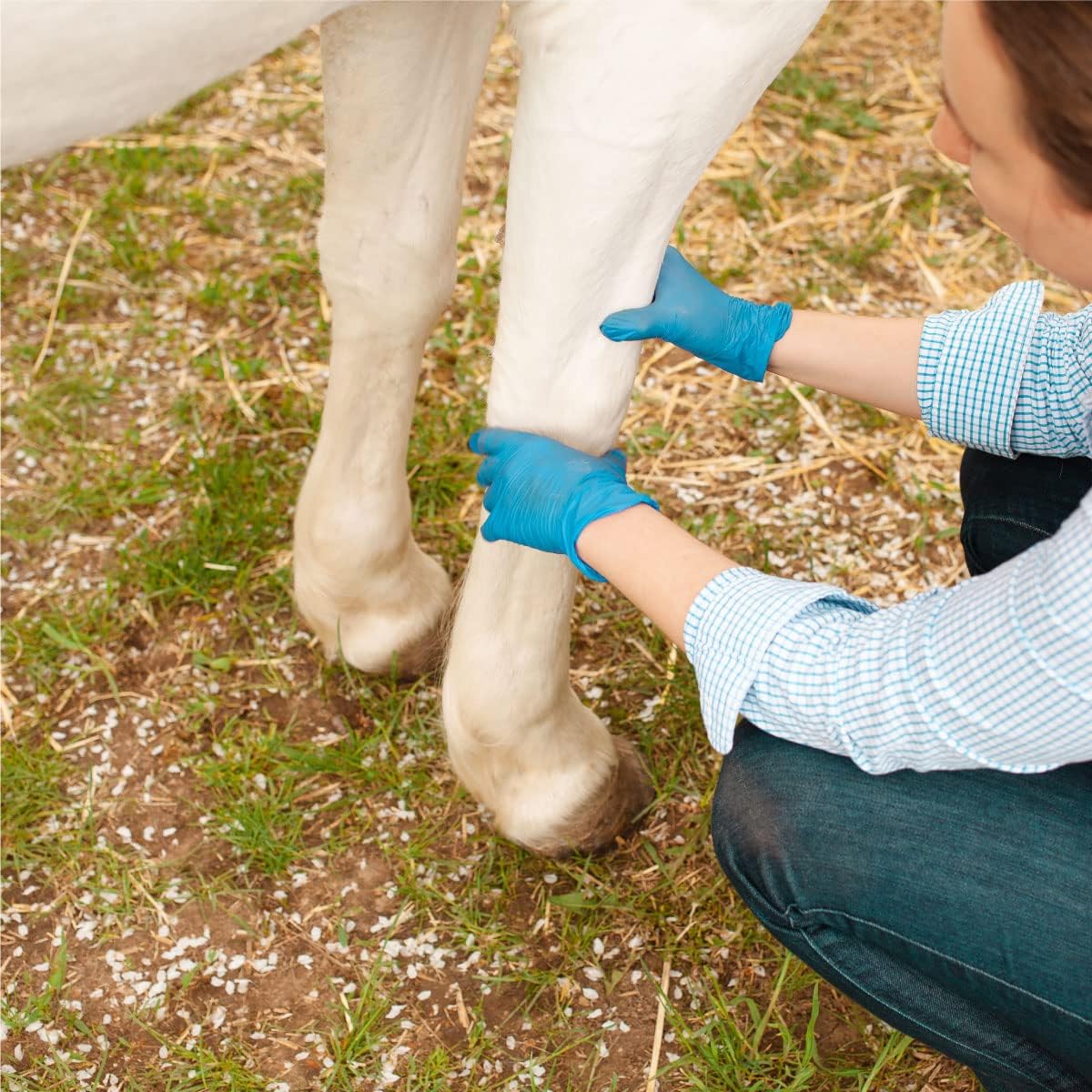 Veterinary Liniment Gel for Horses | Sore Muscle Rub | Soothing Warmth, Made with Plant-Based Ingredients | New & Improved Formula