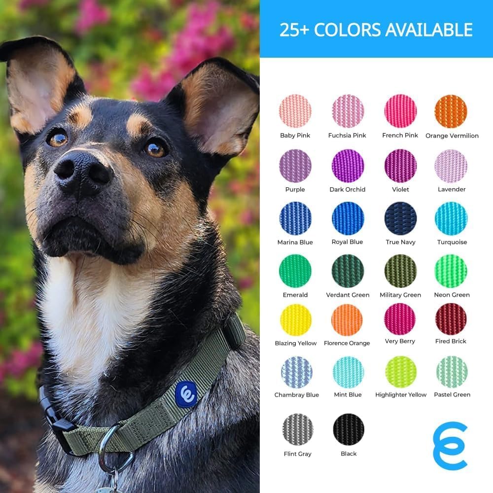 Blueberry Pet Essentials Large Dog Collar in Turquoise | Adjustable & Eco-Friendly Durable Nylon Strap | Classic Collar for Large Dogs, Boy & Girl Pets