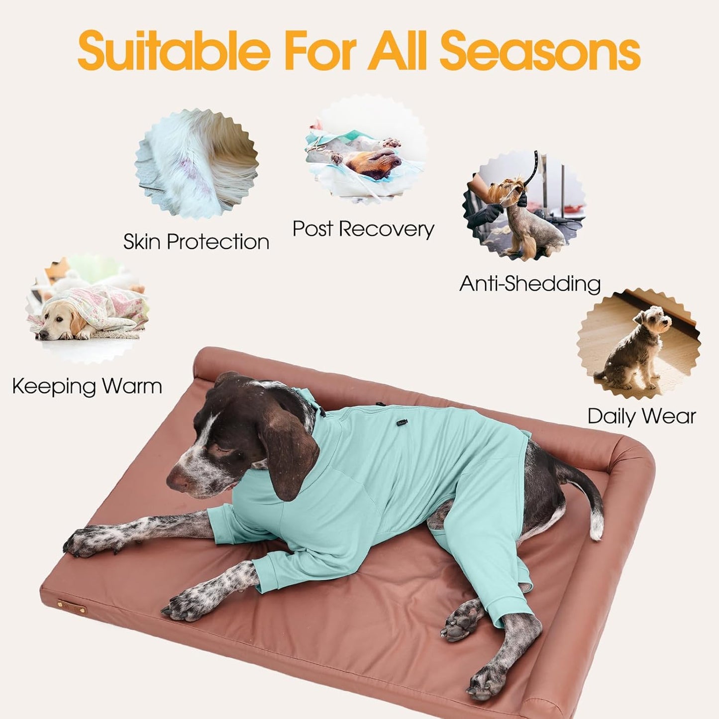 Dog Pajamas for Large Breeds with Back Zipper, Soft Pjs for Pets Boys & Girls, Long Sleeve Anti-Licking Recovery Suit for Dogs, Dog E-Collar Alternative for Weimaraner, Dalmatian, Green XL