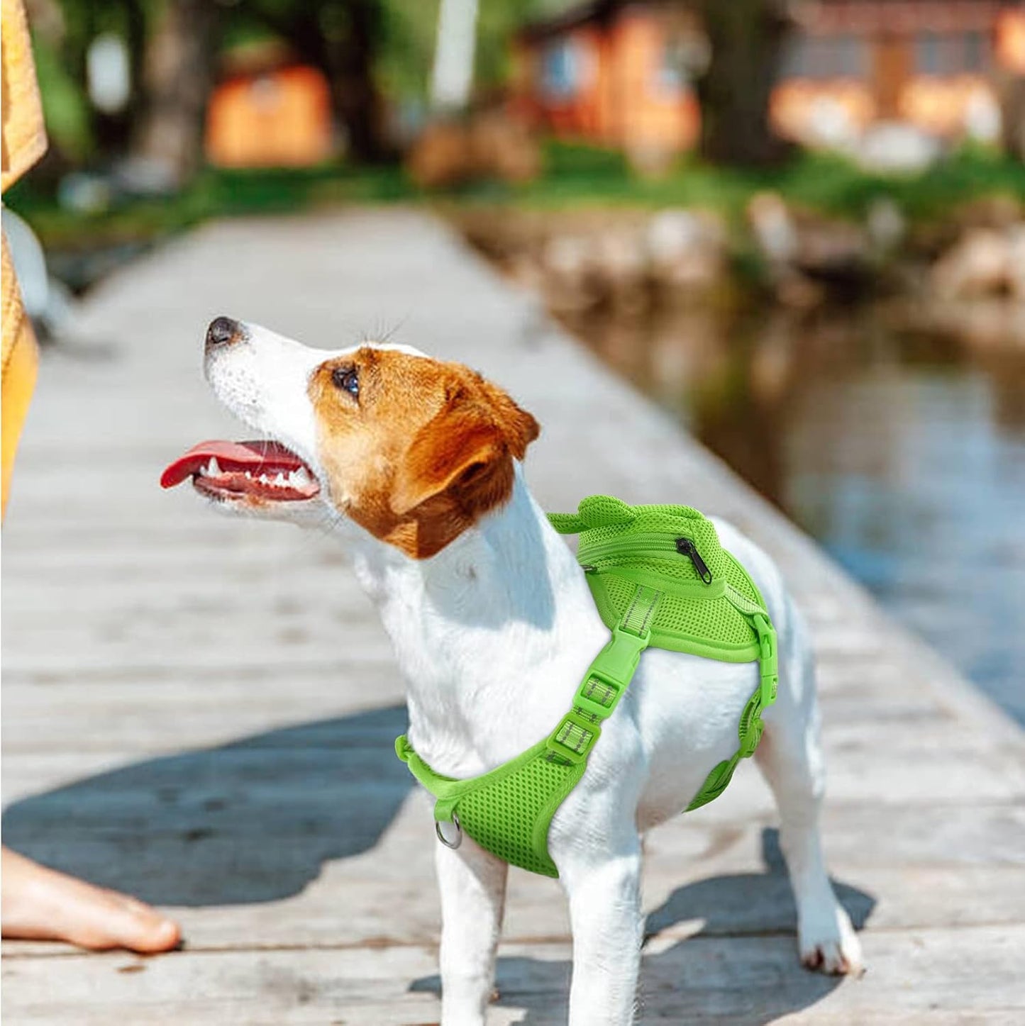 IDOMIK Dog Backpack Harness, No-Pull Dog Backpack with D-Ring for Small Medium Dogs, Cute Self Carrier Backpack for Dogs to Wear, Adjustable Dog Harness Backpack for Traveling Camping Hiking, Frog, L