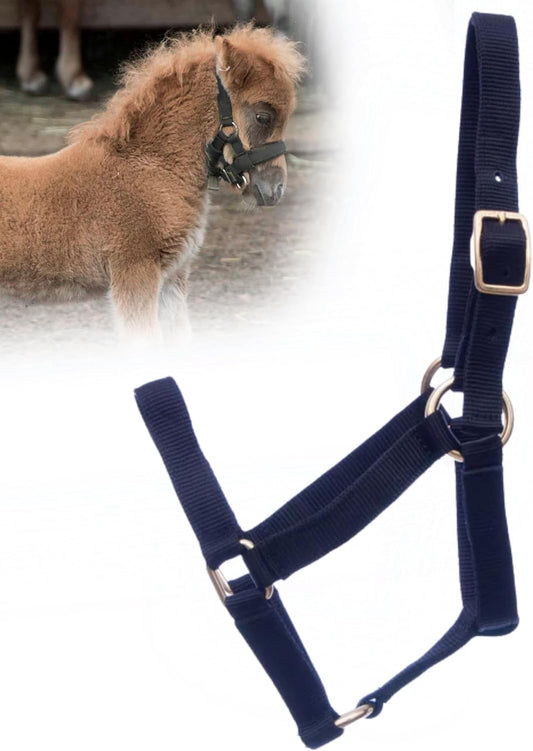 Jeffers Equine Mini Horse Halter – 3/4" Nylon Adjustable Halter for Miniature Horses, Ponies, Under 300 lbs – Heavy Duty Hardware, Secure Fit for Training, Turnout, Grooming, Travel – Black