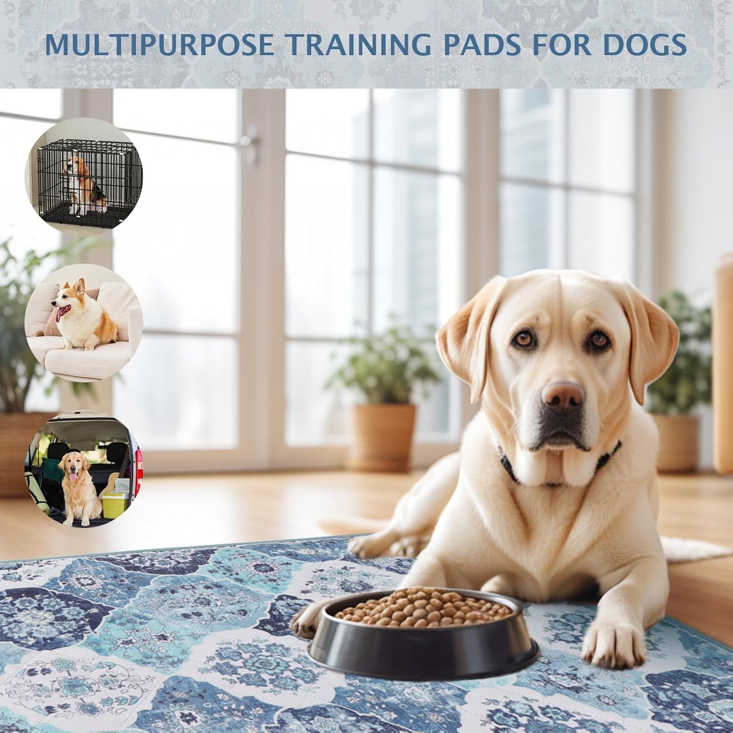 IEUUMLER Washable Pee Pads for Dogs, 2 Pack Reusable Non-Slip Grip, Super Absorbent Waterproof Puppy Pads for Potty Training, Playpen, Crate, Whelping Box EU011 (Blue, 36" x 48")