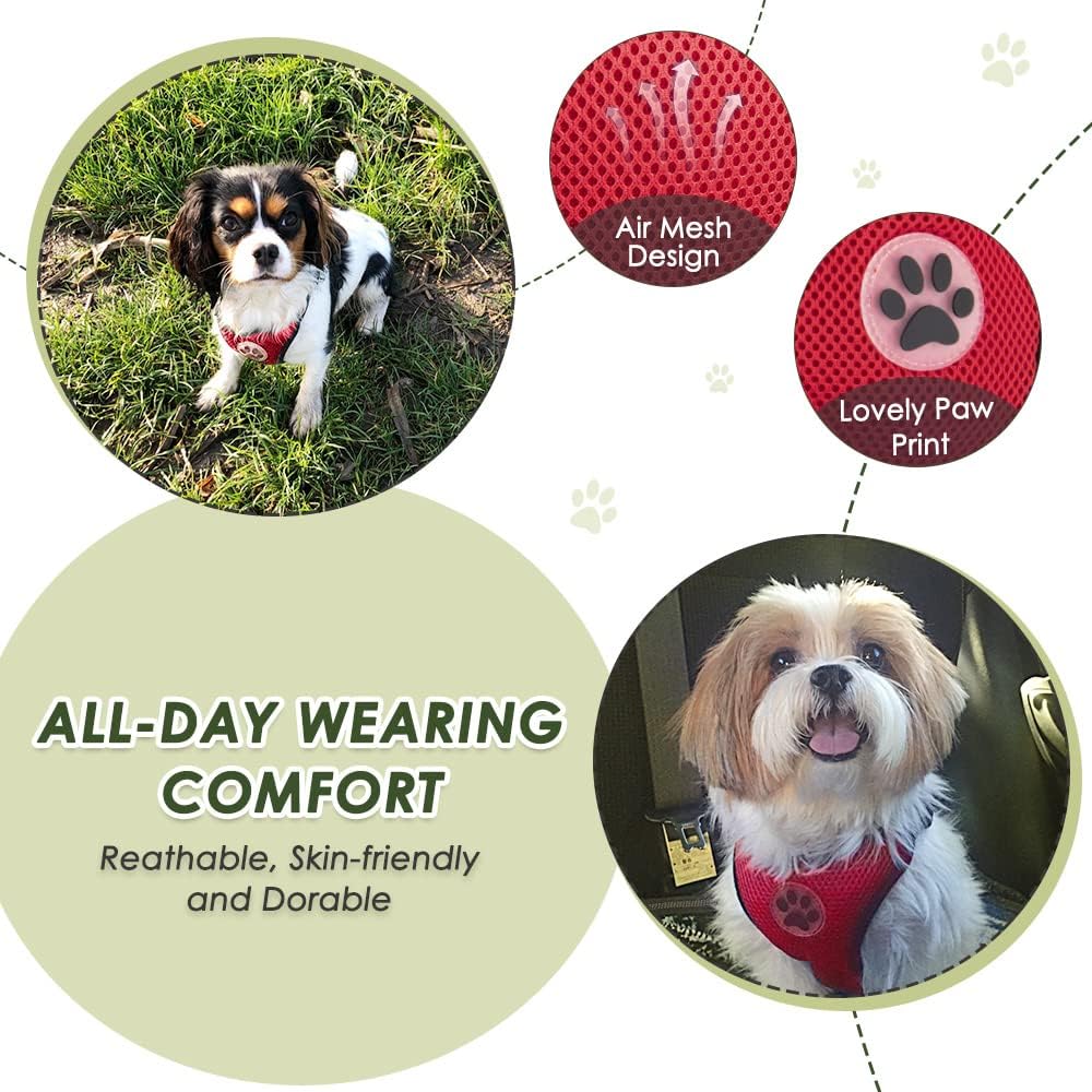 SlowTon Dog Seat Belt Harness for Car, Dog Car Harness Adjustable Mesh Breathable & Dog Seatbelt Safety Tether with Elastic Bungee for Small Medium Large Pets(Red, Double Clip, L)