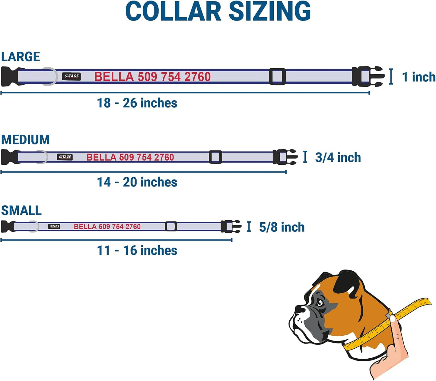 GoTags Reflective Personalized Dog Collar with Nameplate, Adjustable Dog Collar with Custom Engraved Steel Slide On Pet ID Tag, Silent, No Noise Dog Tag for Large Medium or Small (Blue, Medium)