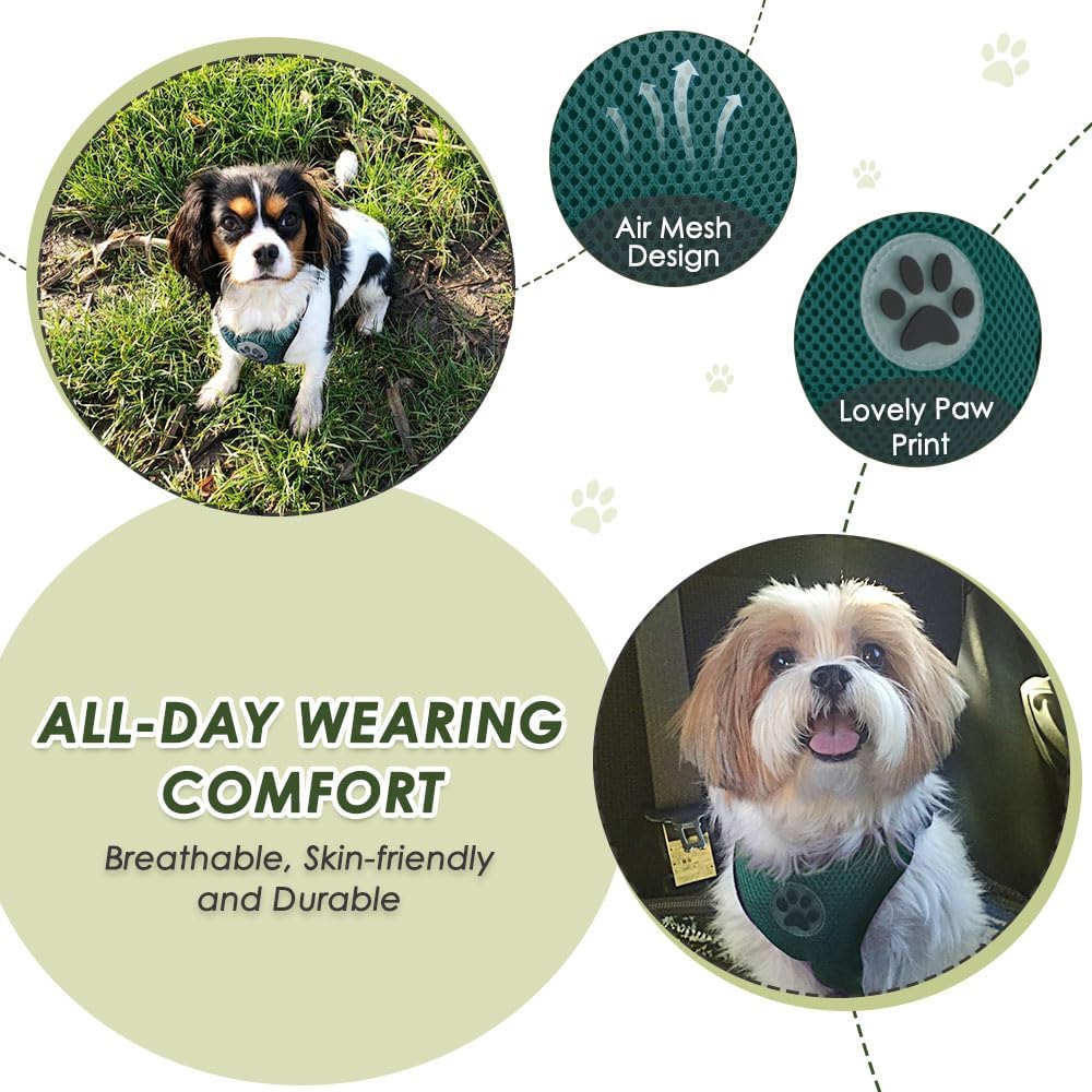 Lukovee Dog Seat Belt for Car, Adjustable Dog Car Harness for Large Medium Small Dogs, Soft Padded & Breathable Mesh Dog Seatbelt with Car Strap and Carabiner((Double Clip 2 in 1),Small)