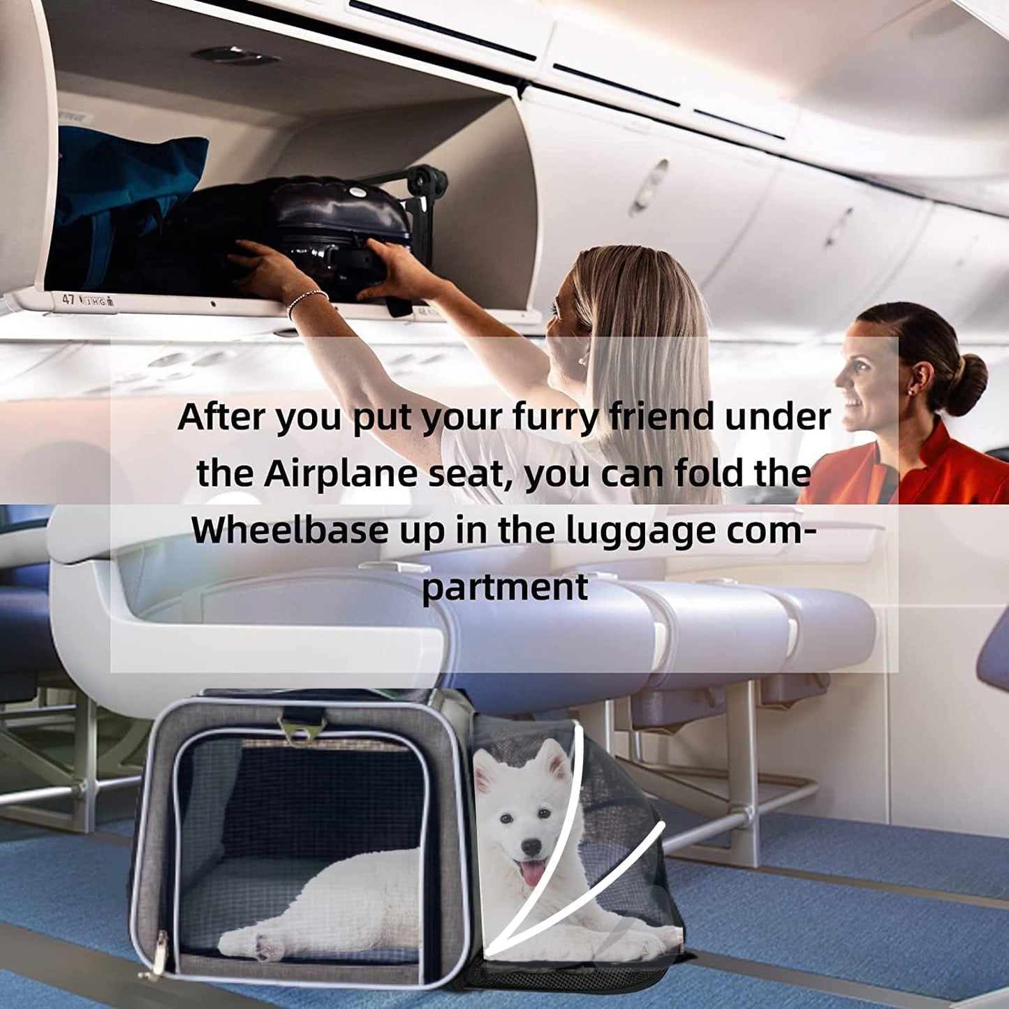 Airline Approved Expandable Premium Pet Carrier on Wheels- Two Sided Expandable Rolling Carrier- Designed for Dogs & Cats- Extra Spacious Soft Lined Carrier! (Blue)