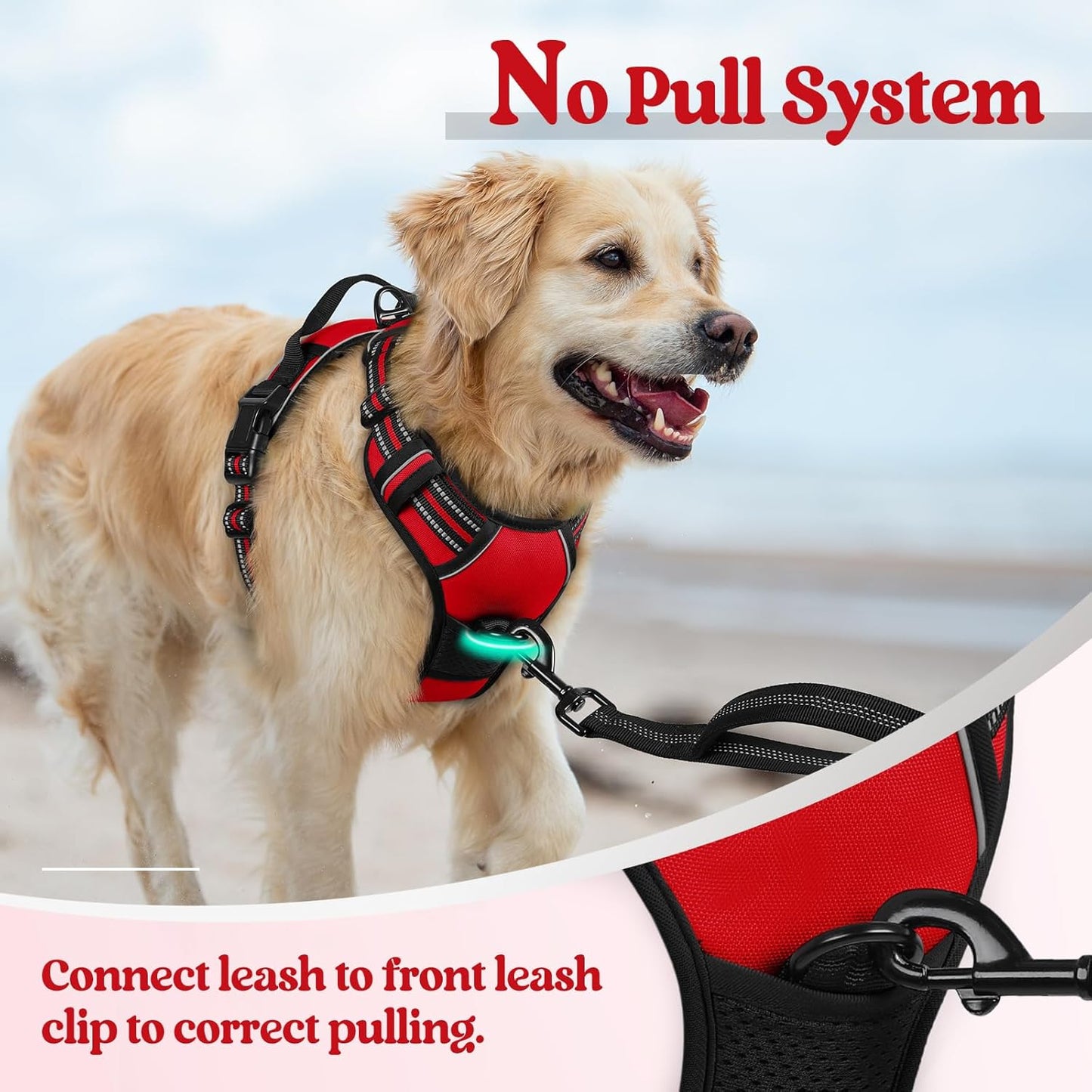 rabbitgoo Dog Harness, No-Pull Pet Harness with 2 Leash Clips, Adjustable Soft Padded Dog Vest, Reflective No-Choke Pet Oxford Vest with Easy Control Handle for Large Dogs, Red, L