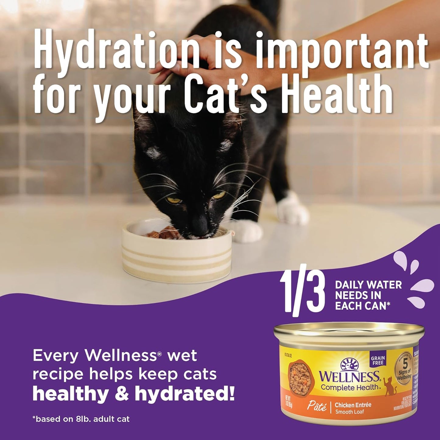 Wellness Complete Health Pate Adult Wet Cat Food, Natural, Protein-Rich, Grain Free, 5.5 Ounce, 24 Pack, (Chicken & Herring)
