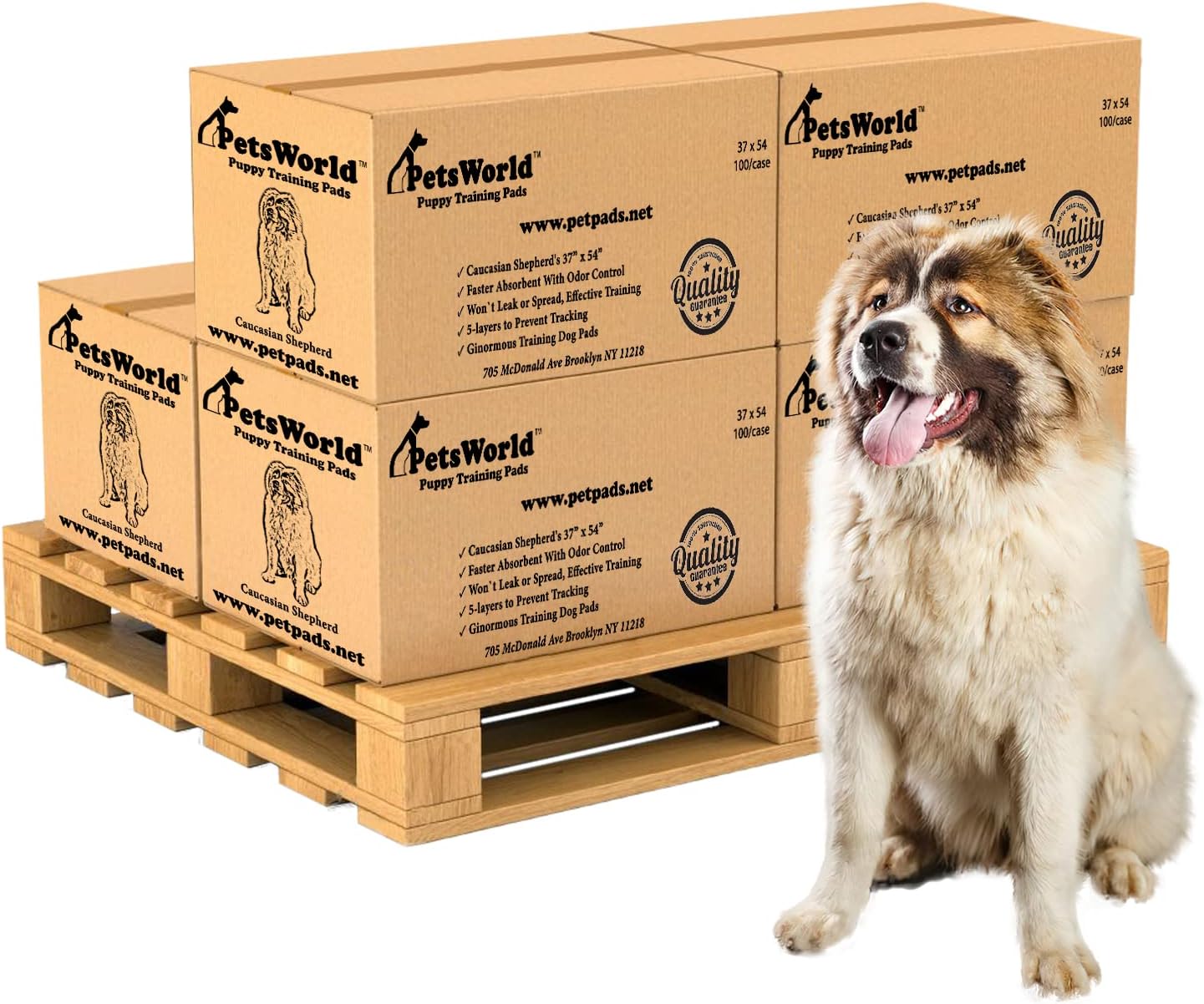 PETSWORLD Enormous Dog Training & Potty Pads, 37x54 inch - Tear Resistant with Strong Leak-Proof Backing, Optional Adhesive Tape, 600 Count