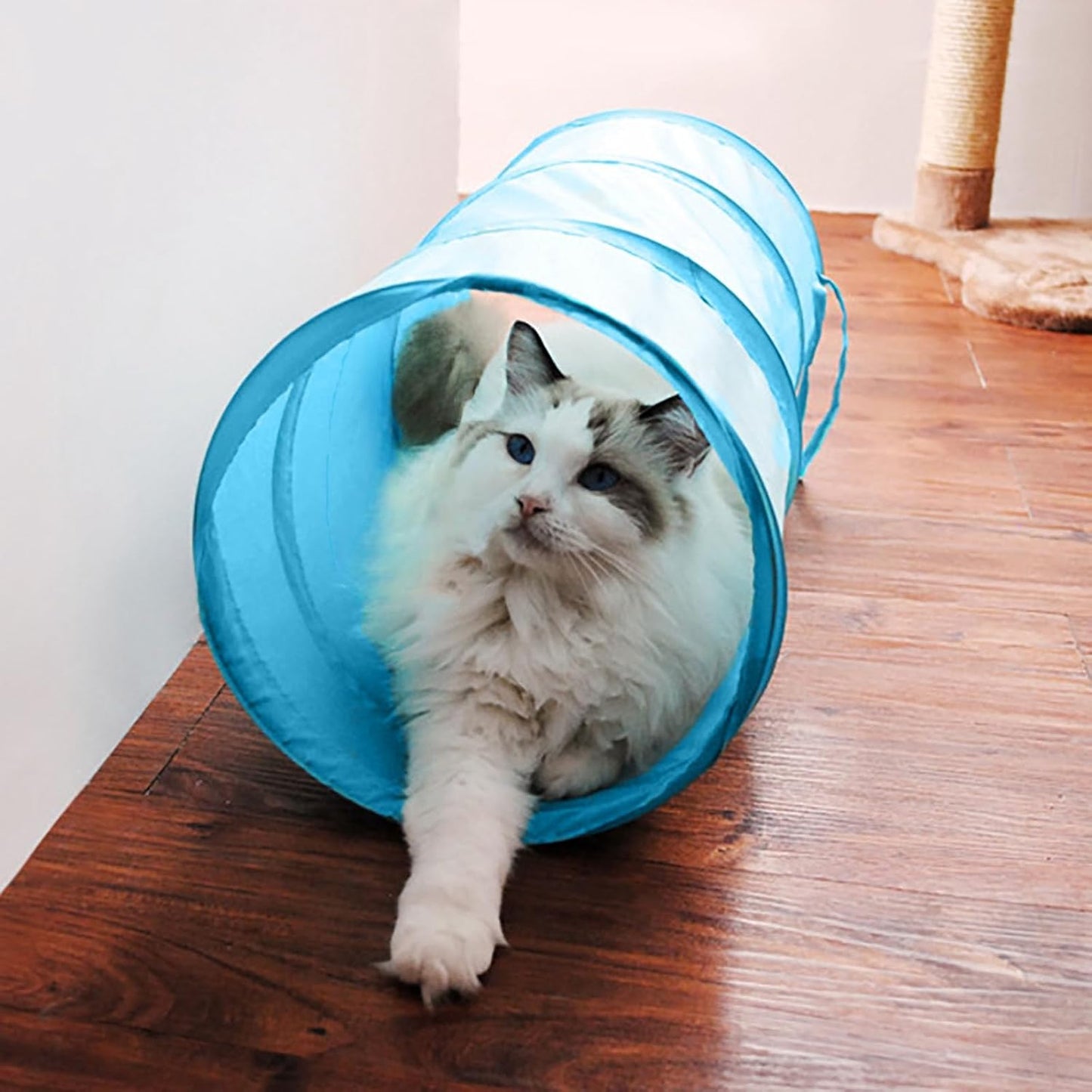 iCAGY Foldable Spiral Cat Tunnel - Indoor Toy for Small Cats, Kittens, and Rabbits - Tube for Interactive Play and Outdoor Fun - Pet Activity Toy Light Green 20" 3 Pcs