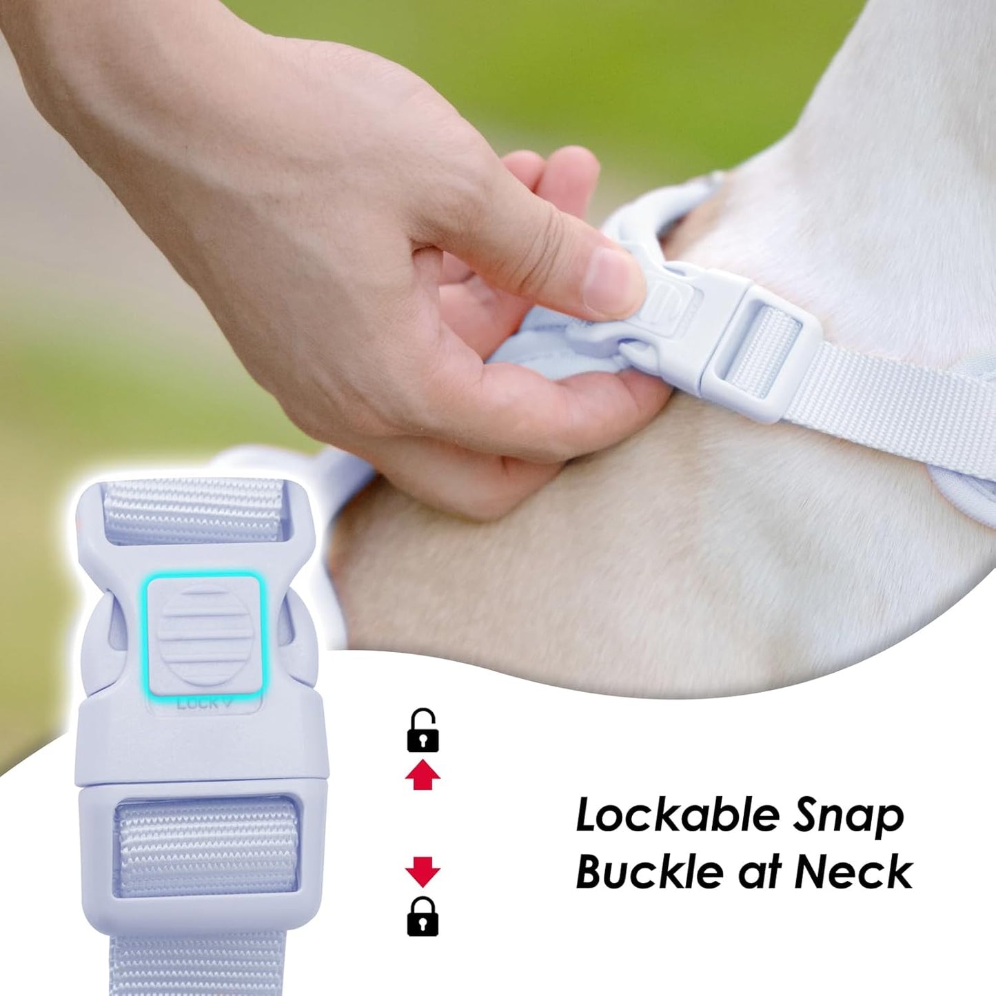 No Pull Dog Harness, Puppy Vest with Front Clip for Small Medium Large Sized Dog(Light Blue,M)