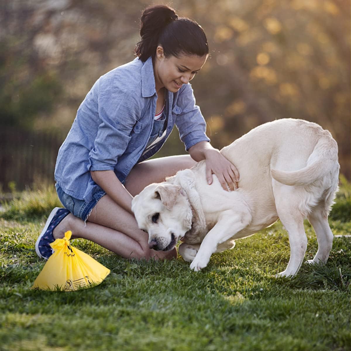Certified Compostable Dog Poop Bags, 270 Count Landfill Friendly and Leakproof Waste Bags, Easy Open Unscented Maize Yellow Poop Bag for Dog, 15 Doggy Bags Per Roll (18 rolls)