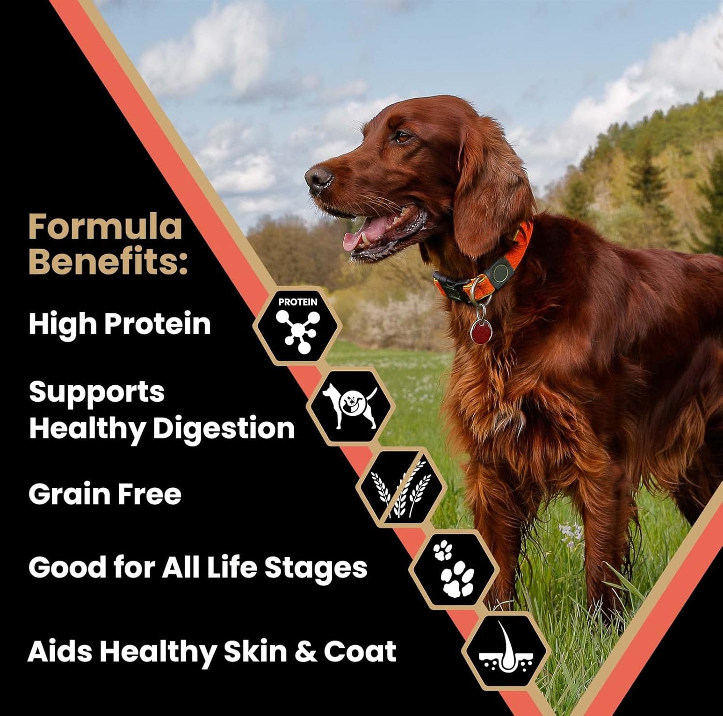 VICTOR Super Premium Dog Food – Grain Free Yukon River Canine – Supports Immune & Digestive Health for Dogs of All Life Stages – High Protein Dry Dog Food for All Normally Active Dogs, 15 lb