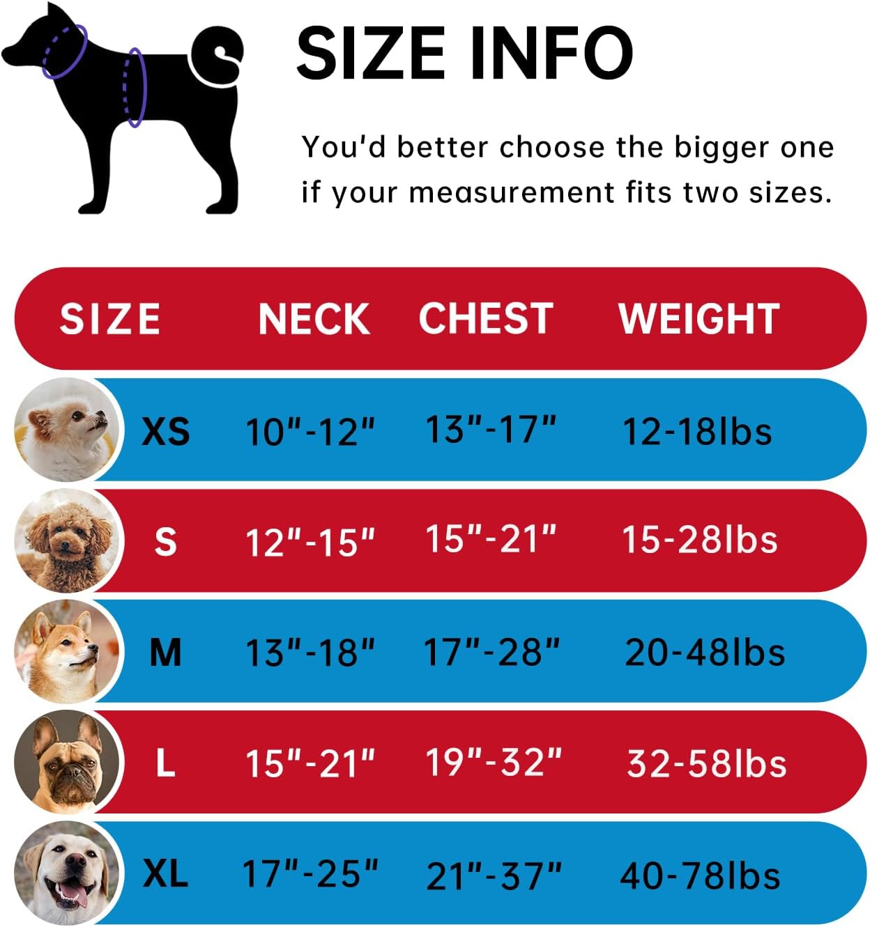IVY&LANE No Pull Dog Harness for Small Dogs, Dog Vest Harness with Leash, Safety Belt and Storage Strap, Fully Adjustable, 360° Reflective Strip, Soft Handle (Red, S)