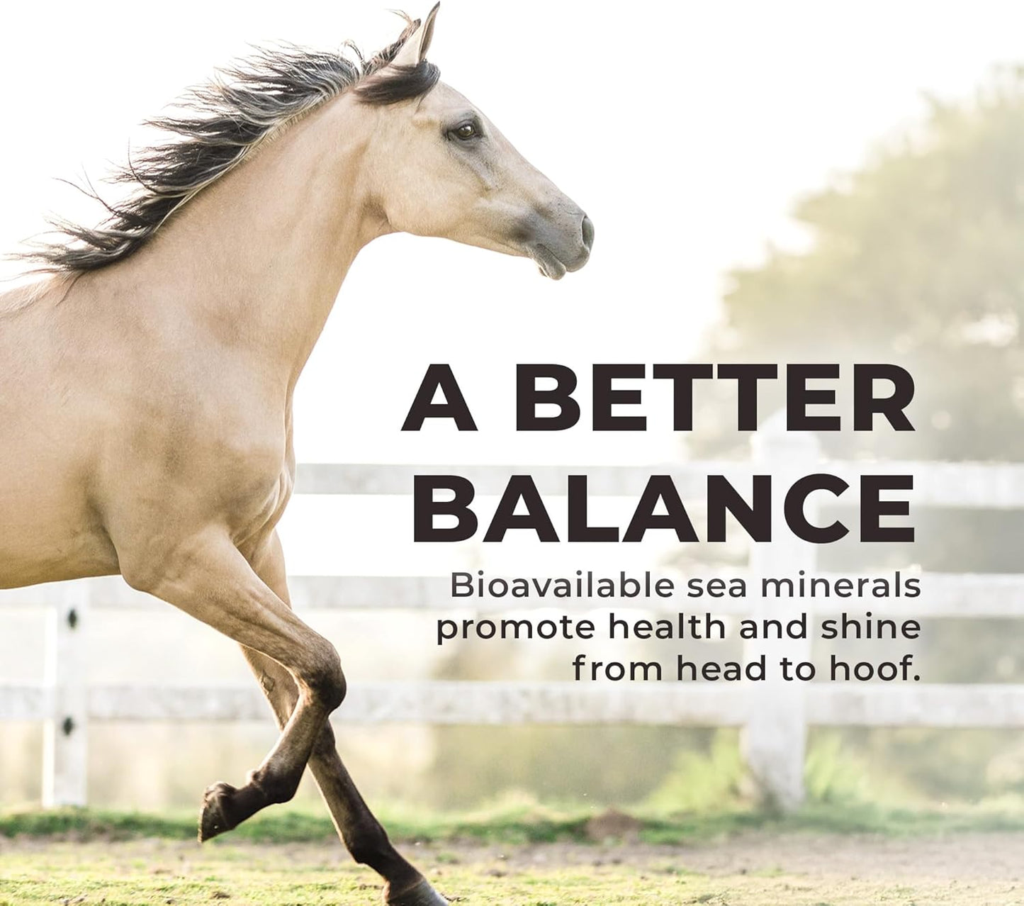 Daily Red Complete Wellness, Fortified Mineral Mix Supplement for Horses, 25lb Refill Bag