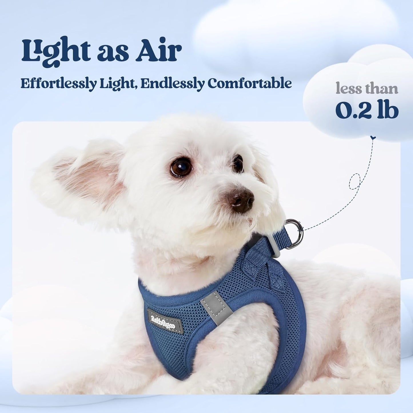rabbitgoo Dog Harness Small Medium Sized and Leash Set, Step in Soft Light Puppy Vest, Breathable Mesh Pet Harness, Reflective for Safe Outdoor Walking, Navy Blue L