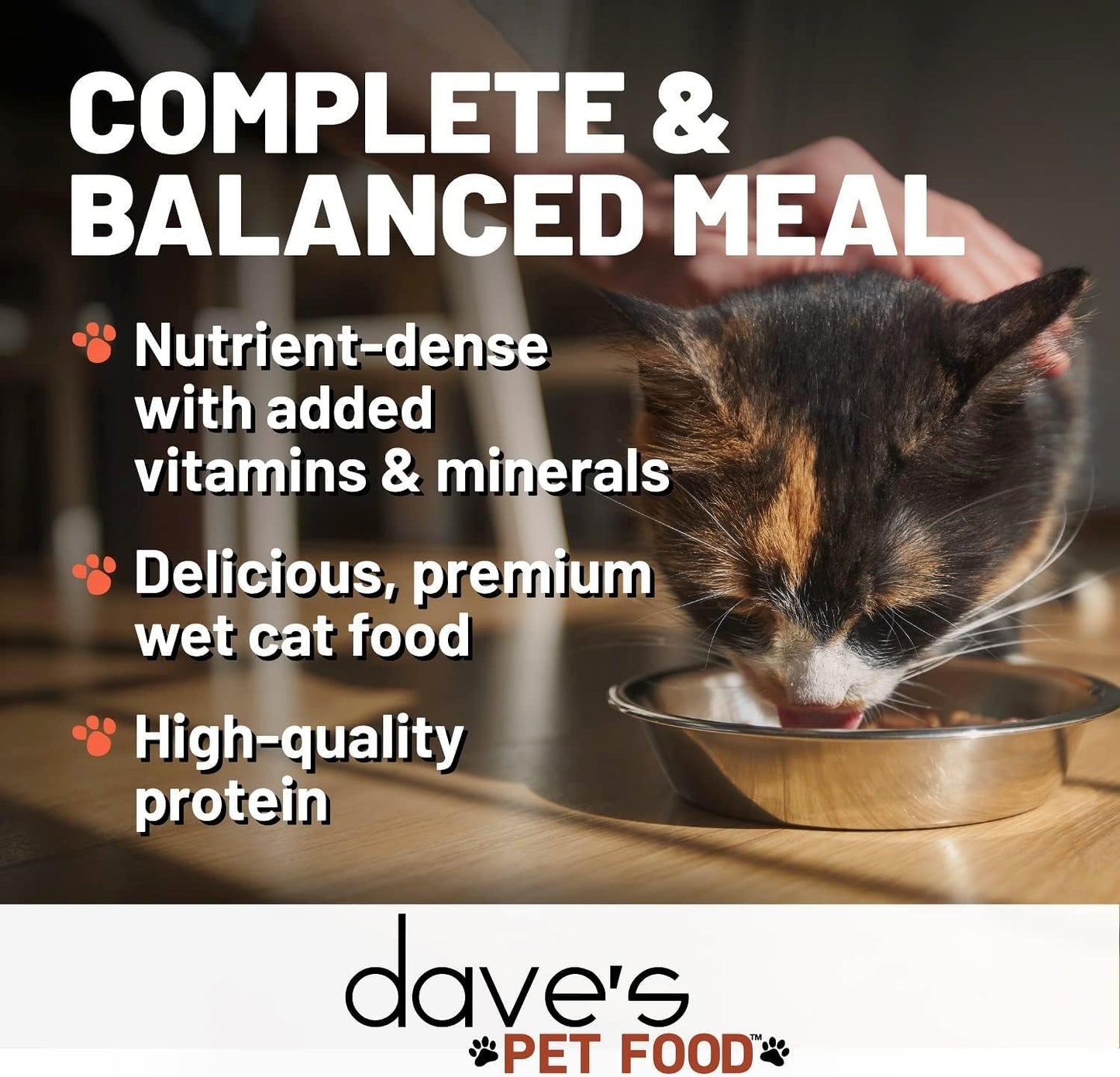 Dave's Pet Food Grain Free Wet Canned Cat Food Pate(Chicken), Made in USA Naturally Healthy, Wheat & Gluten-Free, 12.5 oz Cans (12 Pack)