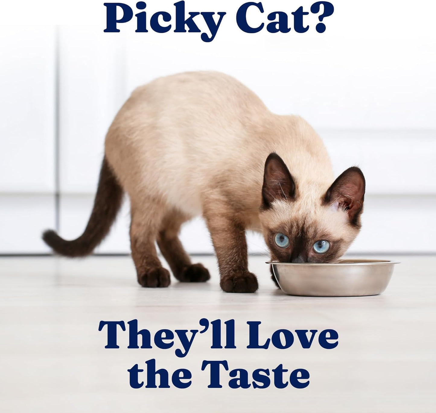 Solid Gold Wet Cat Food Shreds in Gravy - Healthy Canned Cat Food Made w/Real Chicken & Duck Shreds, Vitamins & Minerals - Grain Free & Gluten Free Canned Meals for Cats & Kittens - 24ct/3oz Can