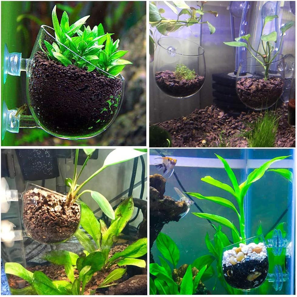 capetsma Aquarium Plant Pot, Glass Fish Tank Plants Holder Aquarium Planter, Aquarium Decoration Plants Cup with 2 Suction Cups for Fish Tank Aquarium Decor Ornament - 1 Pack…