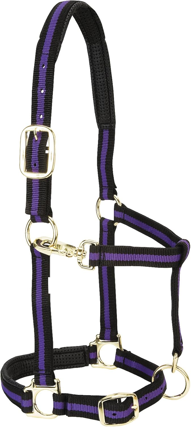Weaver Equine Nylon Horse Halter, Triple-Ply Cheek Design, Original Non Adjustable Halters for Horses, Equine Tack,Average Size, Black