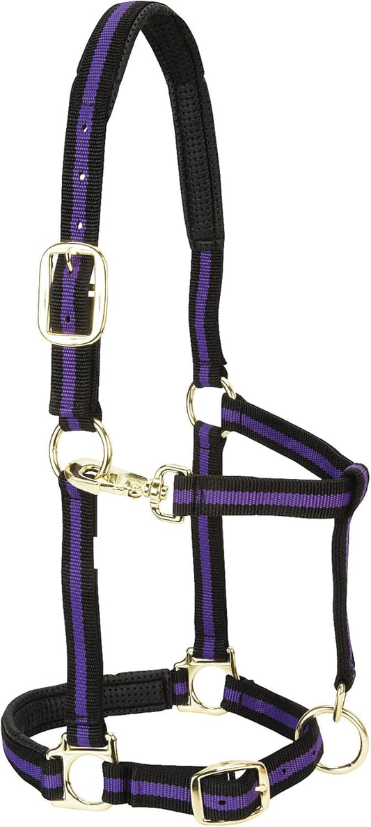 Weaver Equine Nylon Horse Halter, Triple-Ply Cheek Design, Original Non Adjustable Halters for Horses, Equine Tack,Average Size, Black