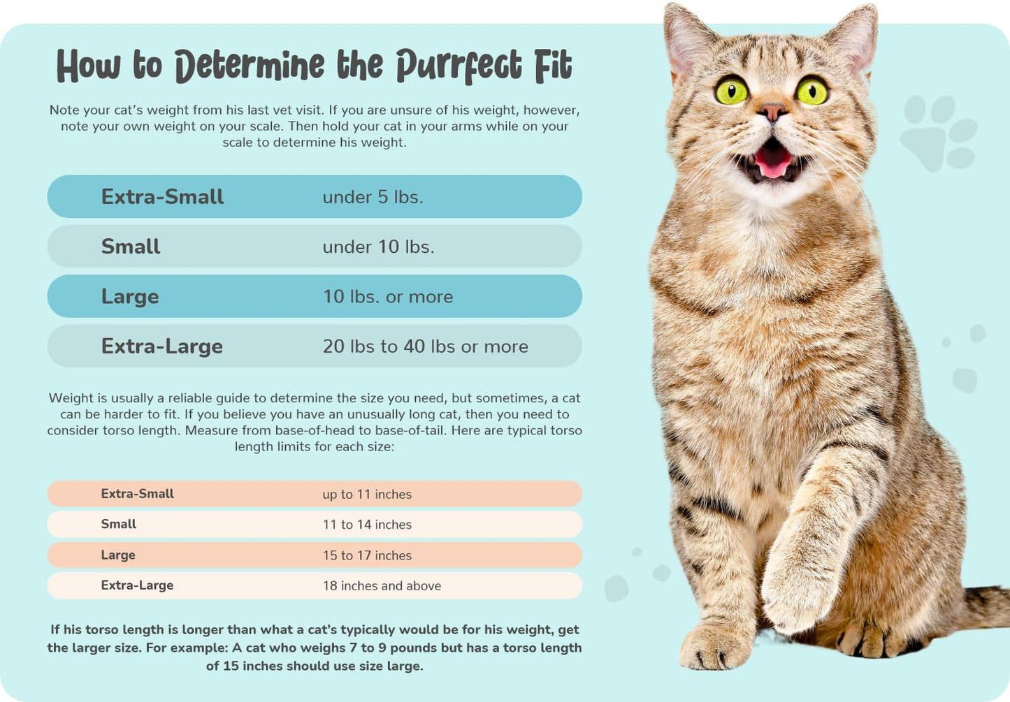 Cozy Comfort Carrier - Small Charcoal Grey Cat Carrier Bag, Soft Cat Carrier and Cat Wrap for Nail Clipping, Vet Visits, Medication Administration, Dental Care, and Traveling