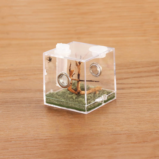 crapelles Jumping Spider Micro Middle Habitat, Small Pet Insect Breeding Box, 360 Degree Transparent Reptile Cage, Acrylic Case Mini Carrier for Amphibians, Feeding Container Enclosure Accessories