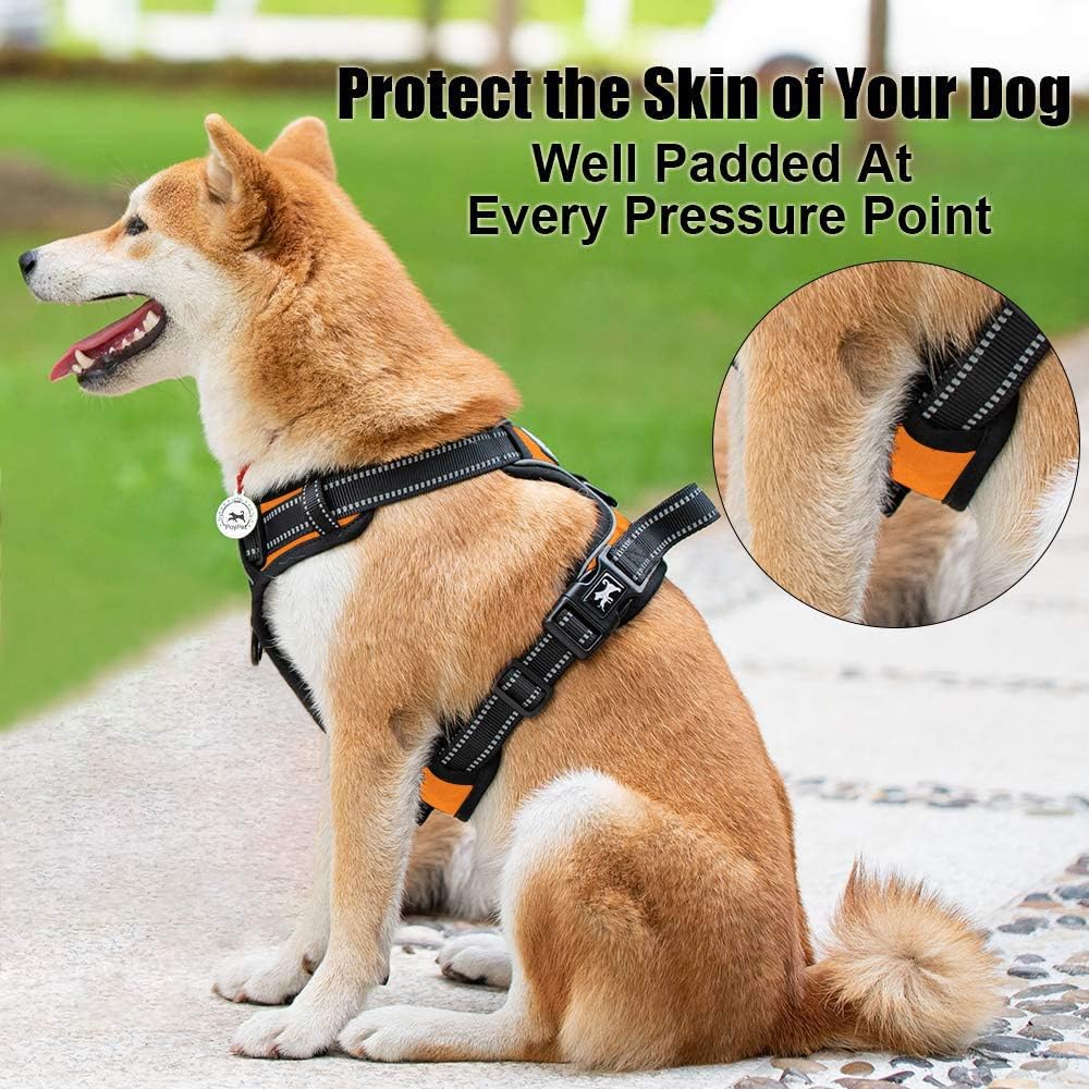 PoyPet No Pull Dog Harness, Reflective Comfortable Vest Harness with Front & Back 2 Leash Attachments and Easy Control Handle Adjustable Soft Padded Pet Vest for Small to Large Dogs (Orange,XS)