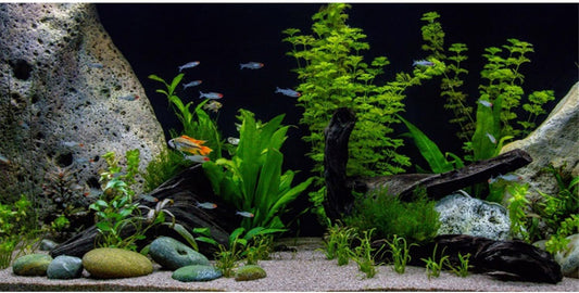 AWERT Vinyl Underwater Aquatic Plant Fish Tank Background Stone River Bed & Lake Aquarium Background 36x18 inches