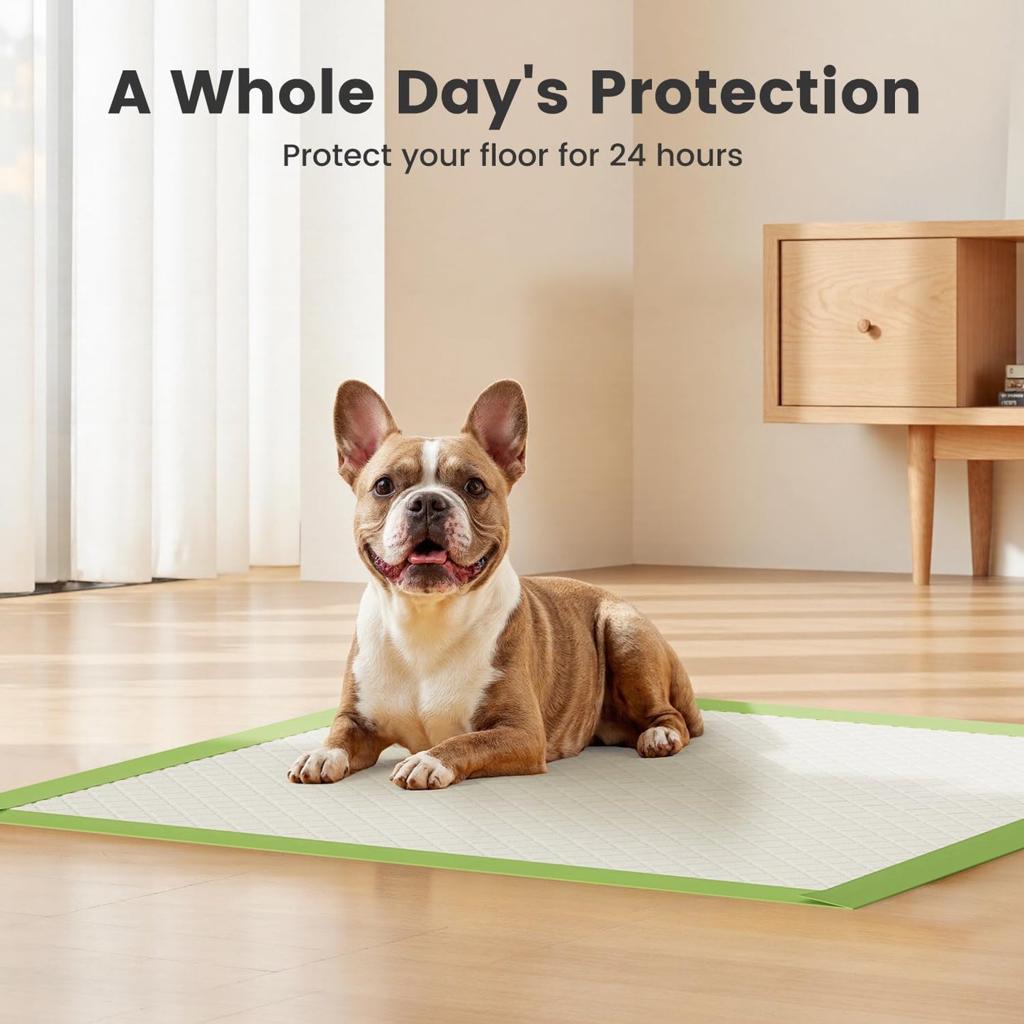 Gardner Pet Dog Pee Pads Rugular 22"x22", Thicker ECO Green Small Disposable Puppy Training Pads Super Absorbent Full Edge-Wrapping Pad for Dogs, Puppies, Doggies, Cats-(50 Count)