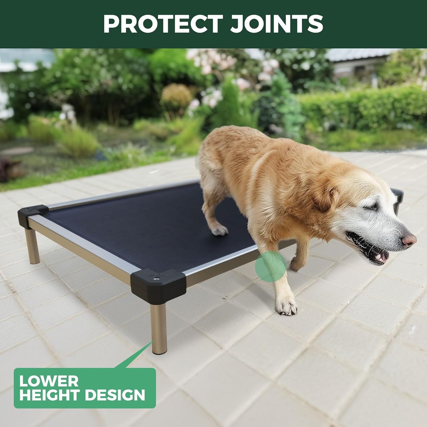 FXW TitanNest Chew-Proof Elevated Dog Bed, Raised Cot for Indoor/Outdoor/Camping Use, Durable & Waterproof Cooling Pet Bed for Large Dogs, 50.0" L x 31.0" W x 7.3" H, Black