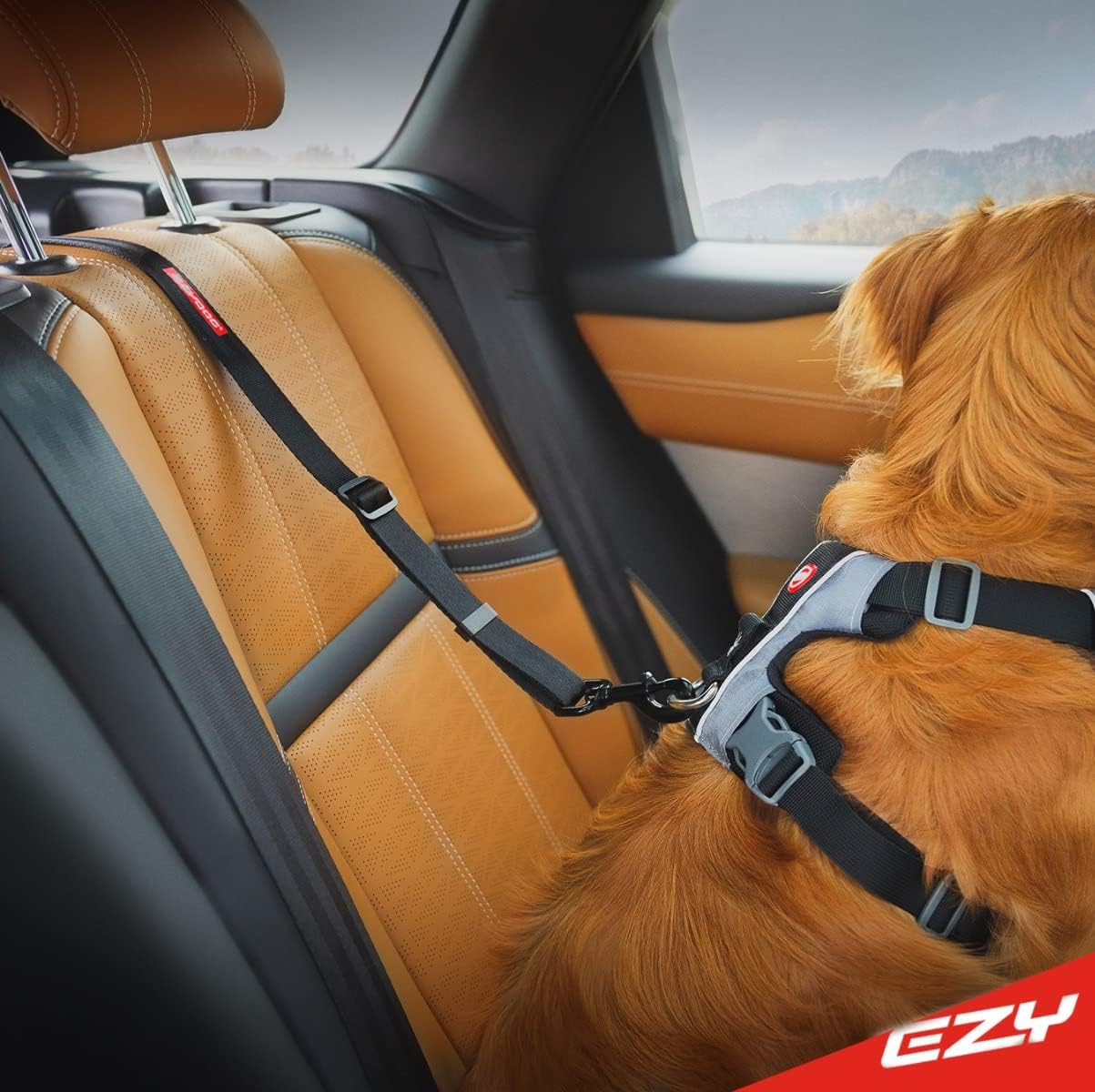 EzyDog Click ISOFIX Standard - Dog Seat Belt Car Harness Attachment for Dogs - Adjustable Dog Restraints Seatbelts for Car Travel and Safety - (17in - 26in, Black)