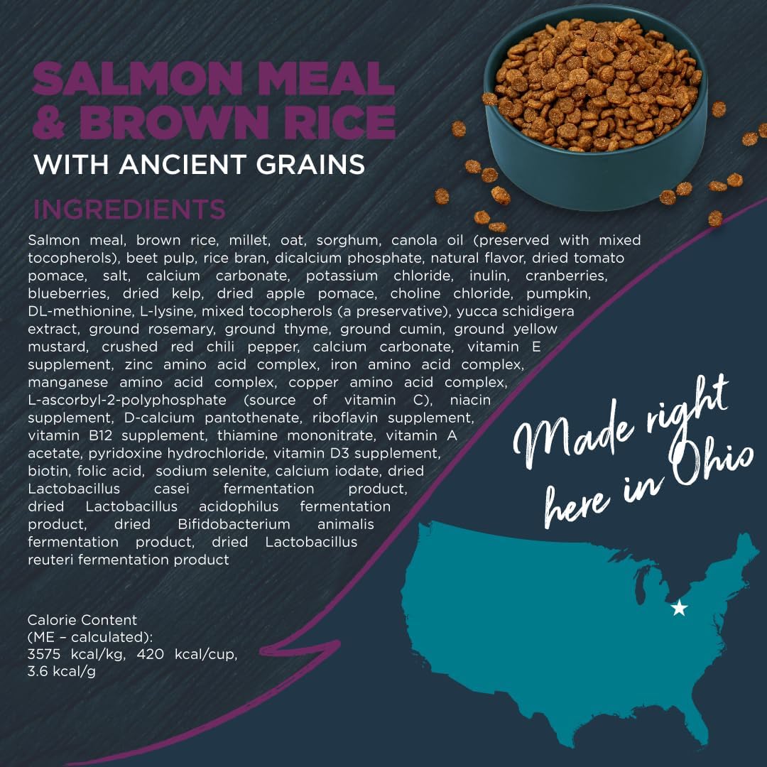 Blackwood Sensitive Skin & Stomach Dry Dog Food, Salmon Meal & Brown Rice with Ancient Grains, 4.5 Pound Bag with Prebiotics & Probiotics to Promote Gut Health
