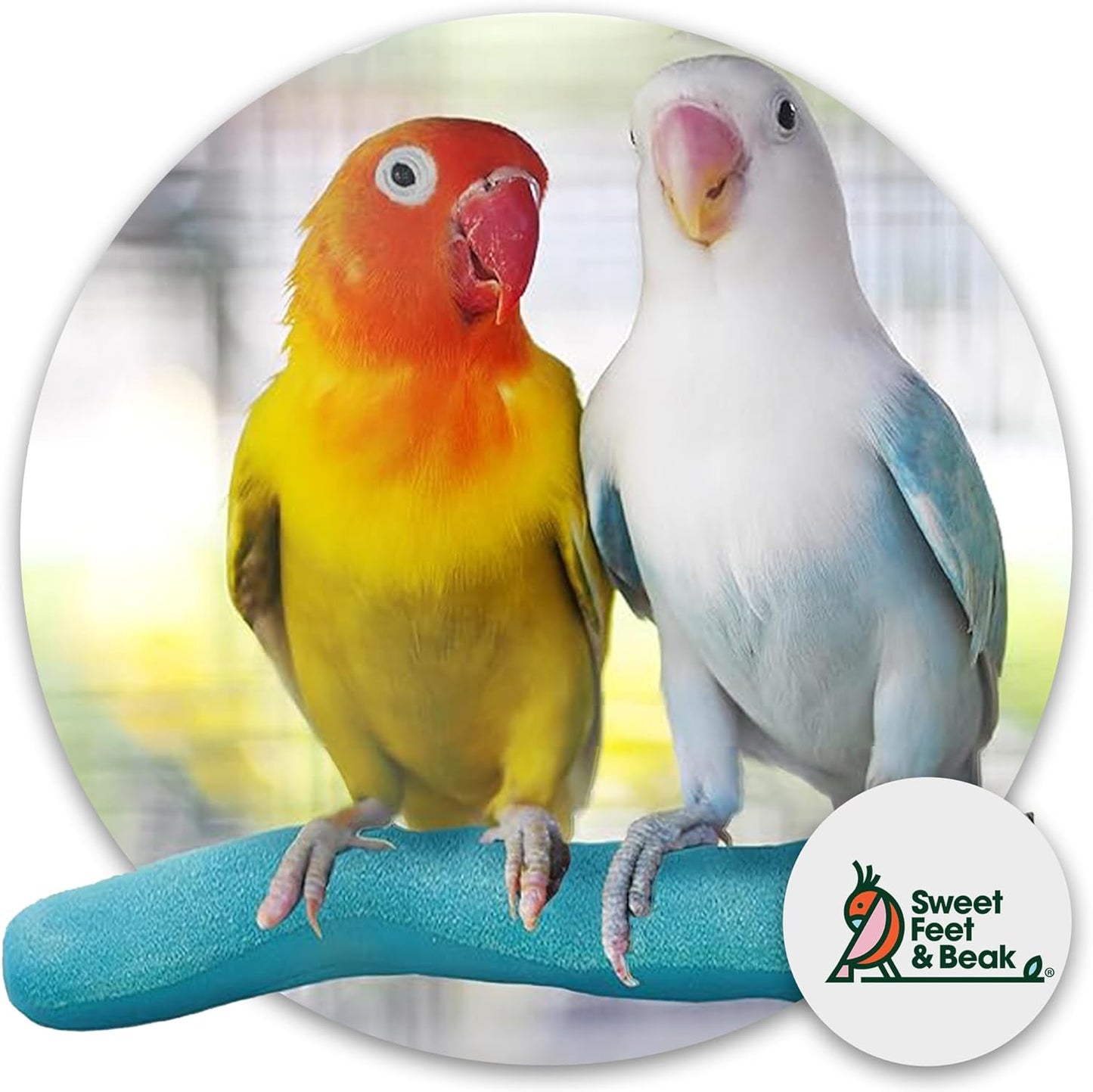 Sweet Feet & Beak Safety Pumice Bird Perch, Medium 1-1/4" X 12", Blue - Lightweight Grinding Bird Perches for Cage - Bird Nail Trimming Perch for Healthy Beak & Feet - Multi-Size & Color Parrot Stand