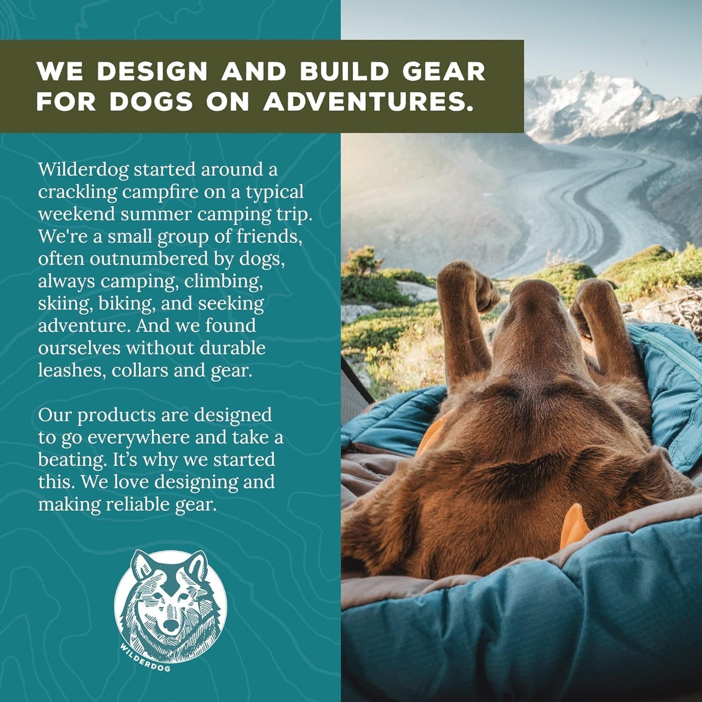 Wilderdog Lightweight Dog Harness with Reflective Straps - Small - Seafoam