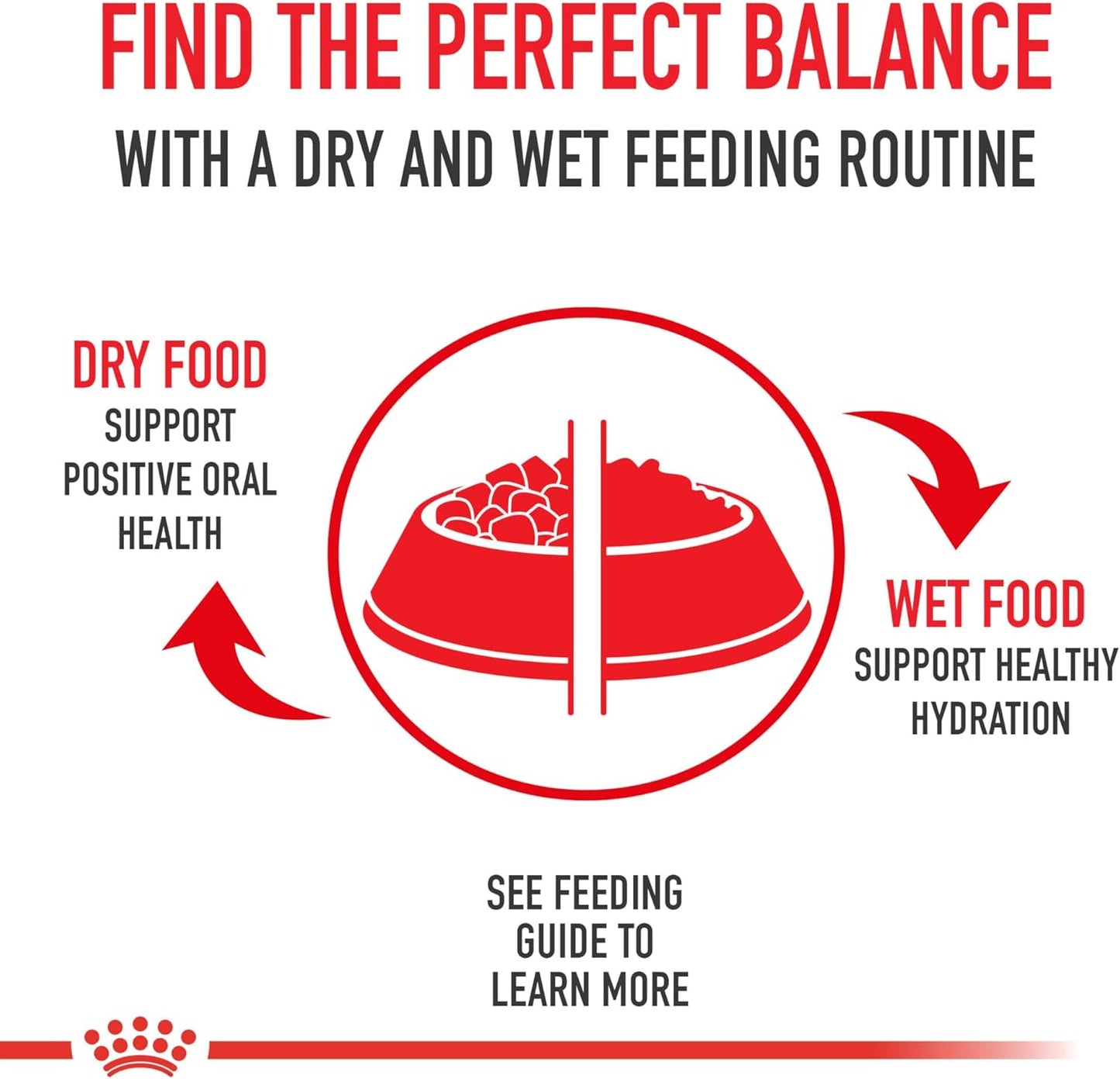 Royal Canin Feline Health Nutrition Aging 12+ Thin Slices In Gravy Canned Cat Food, 3 oz Can (24-count)