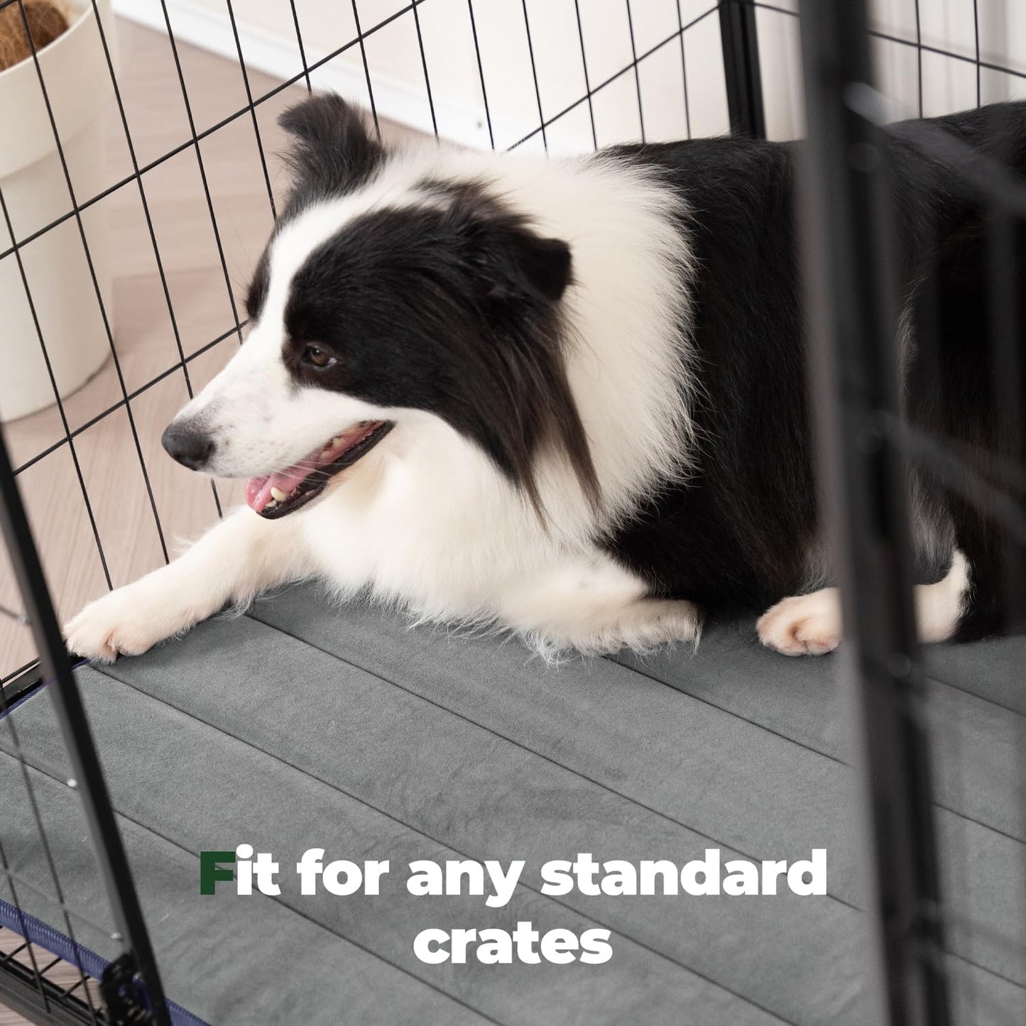 BALANCE Dog Crate Pad, Dog Foam Crate Mat Kennel Pad, Washable Water-Resistant Pet Bed Flat Dogs Cage Mat for X-Large Dogs, 2 Packs