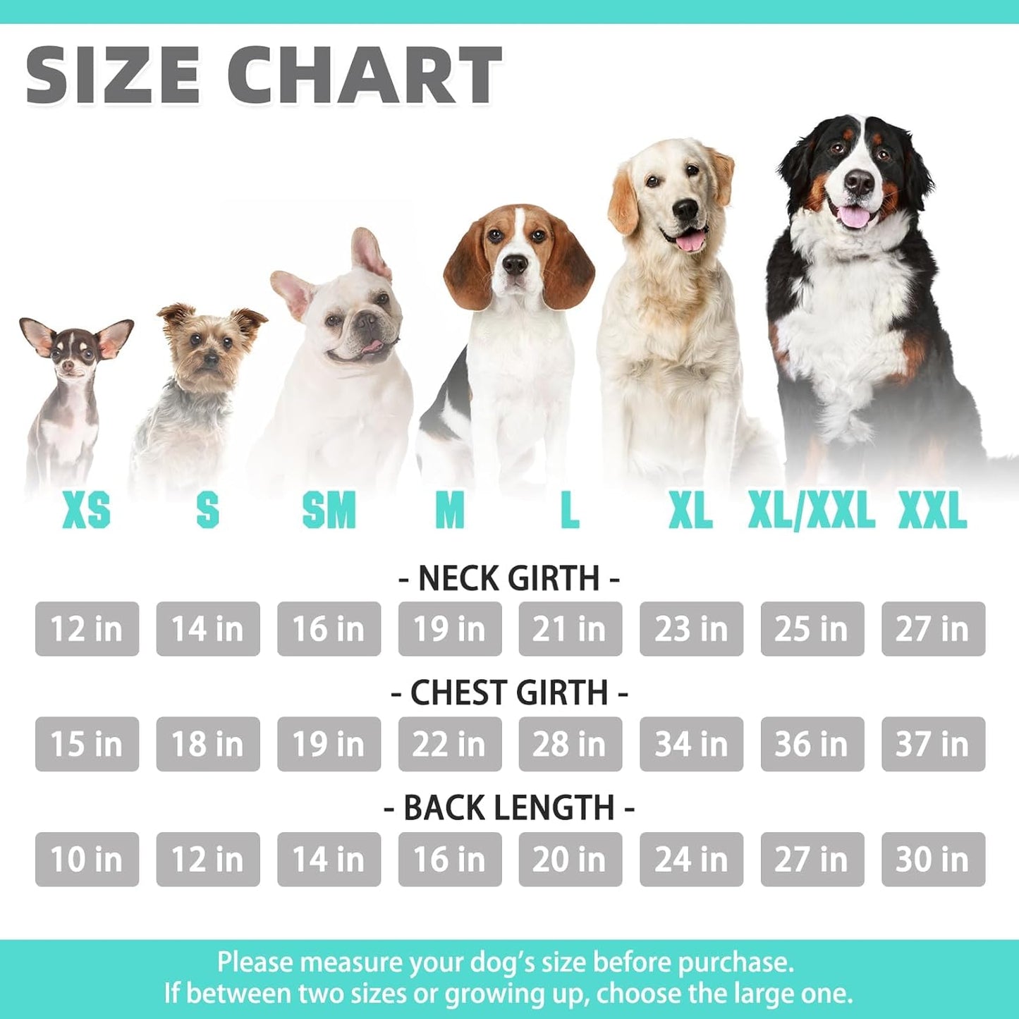 KOOLTAIL Basic Dog Hoodie - Soft & Warm Dog Hoodie Sweater with Leash Hole and Pocket, Dog Winter Coat, Cold Weather Clothes Sweatshirt for Small Medium Large Dogs Puppy Cat Boys Girls Lake Blue XS