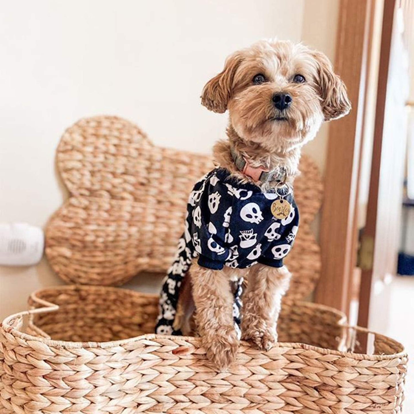 CuteBone Dog Halloween Pajamas Puppy Onesies Small Dogs Soft Pjs Coat Cat Apparel Comfy Pet Christmas Clothes Outfit Doggie Bodysuit P11M