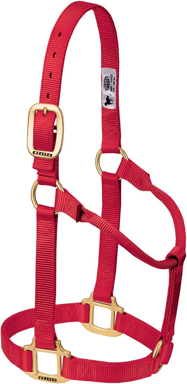 Weaver Equine Nylon Horse Halter, Triple-Ply Cheek Design, Original Non Adjustable Halters for Horses, Equine Tack,Average Size, Black