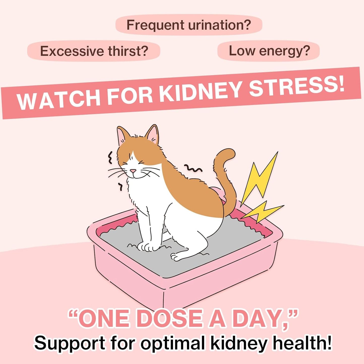 Dr.by UT Care Cat UTI Kidney Support Urinary Supplement Cranberry Treatment for Cats Renal Health with Pacran, Quercetin, Taurine lickable Formula Individually Packaged (1 Pack)