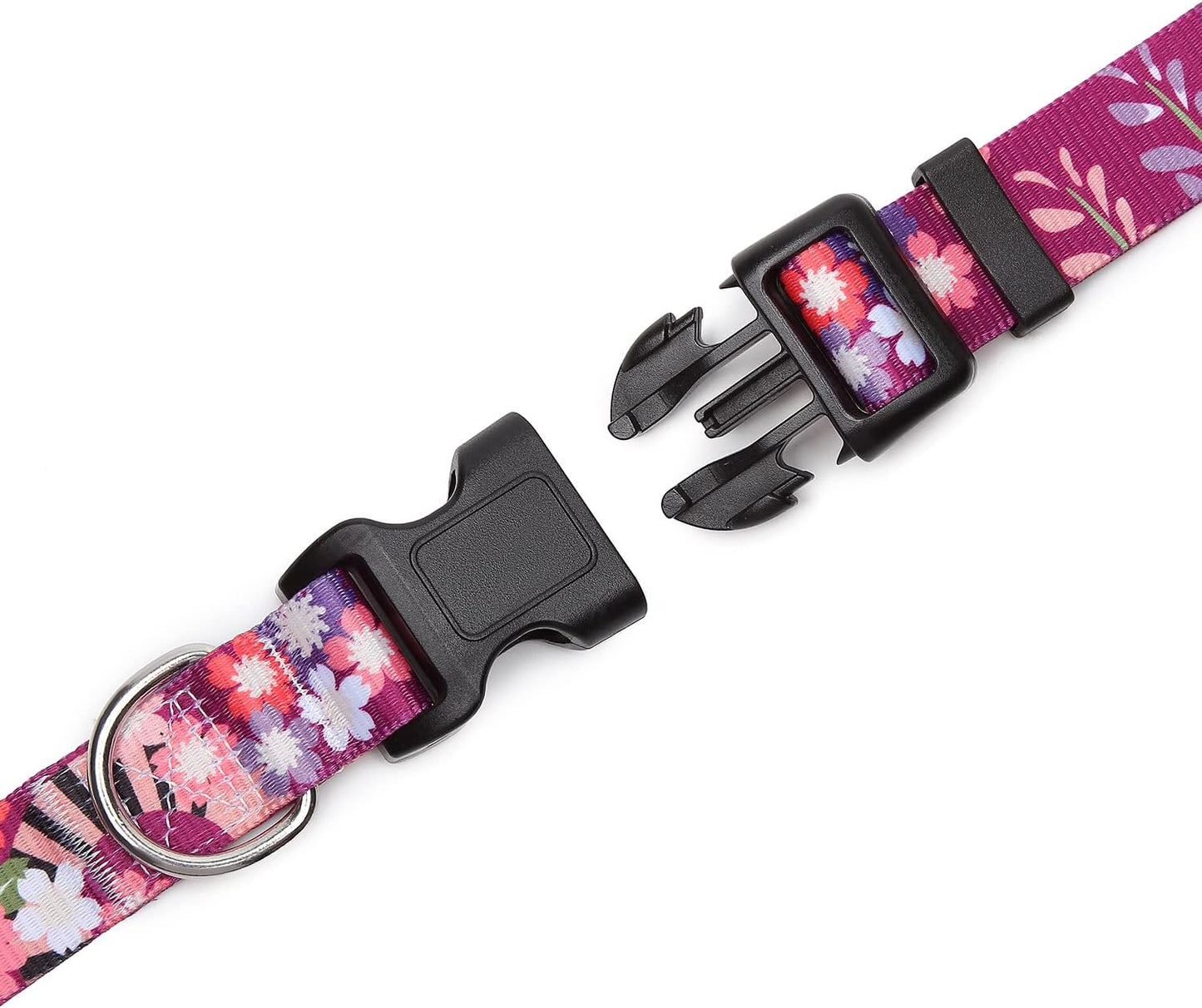 Mercano Adjustable Dog Collar - Special Design Patterns, Soft Nylon Comfortable Durable Pet Collar for Small Medium Large Dogs (M, Colorful Flower)