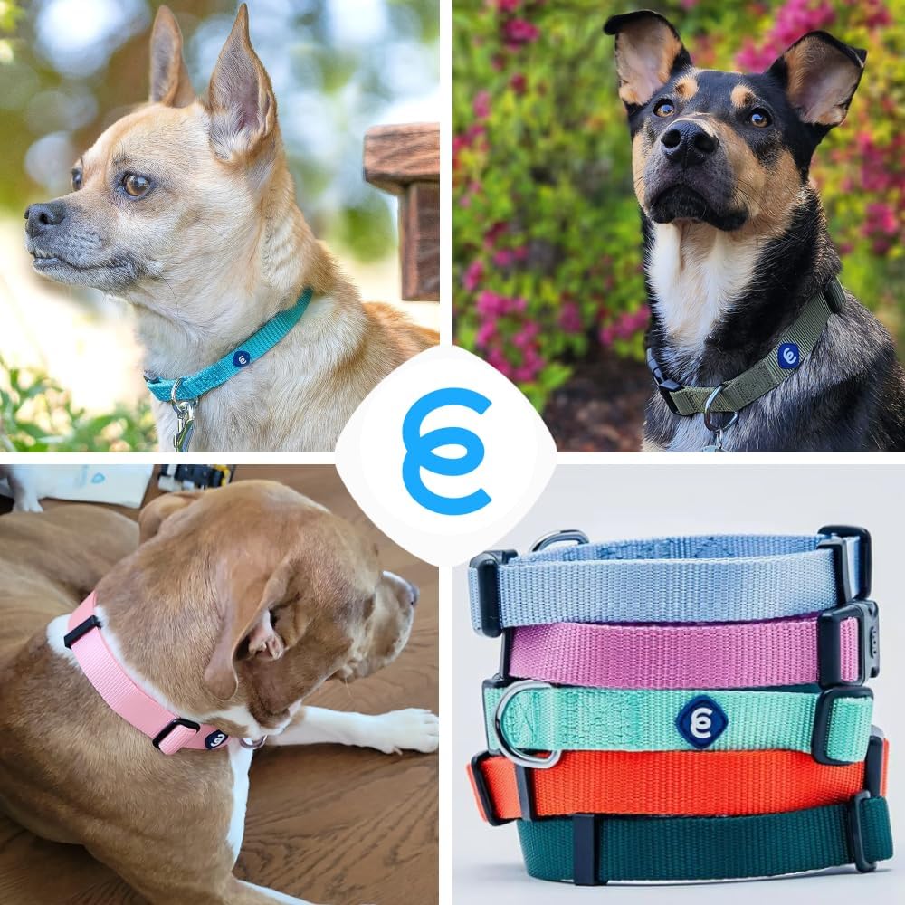 Blueberry Pet Essentials Adjustable Pink Dog Collar for Large Dogs, Solid Nylon, Comfortable & Durable, Secure Fit and Eco-Friendly for Pet Owners