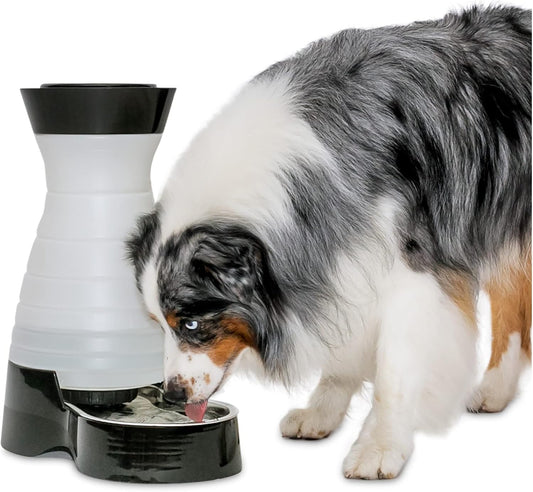 PetSafe Healthy Pet Water Station - Large, 320 oz Capacity - Gravity Pet Water Fountain, Automatic Cat Water Fountain or Dog Water Fountain - Water Dispenser - Removable Stainless Steel Bowl Included