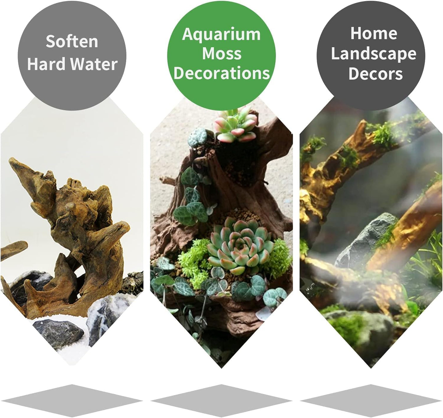 Hamiledyi 24 Pcs Small Driftwood for Aquarium 3"-5" Driftwood Branches Aquarium Decoration Reptiles Reptile Tank Accessories Assorted Size Natural Habitat Decor Wood for Lizad