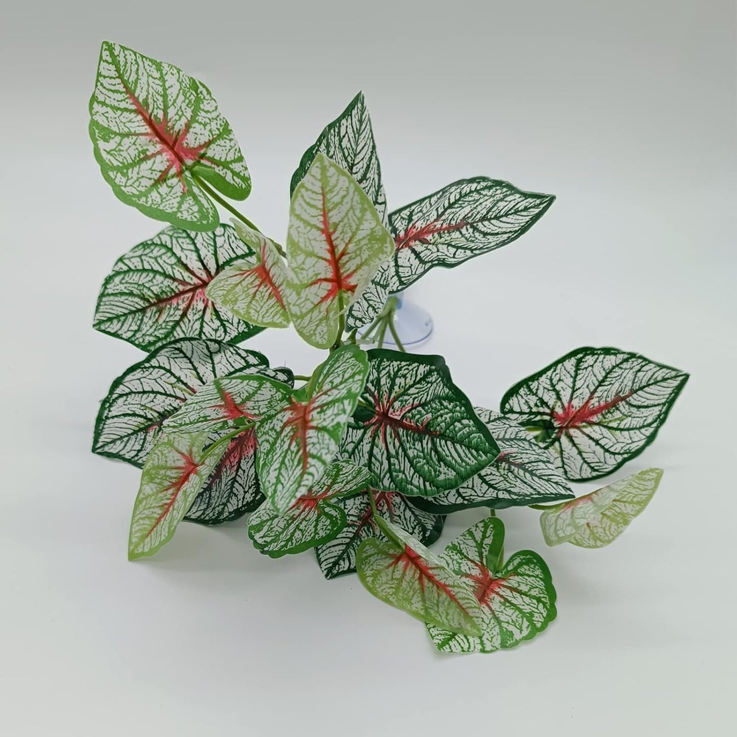 Reptile Plants for Bearded Dragon Tank Accessories, Terrarium Plant Artificial Decor for Snake Cage, Fake Plant for Leopard Gecko Habitat, Lizard Chameleon Ball Pythons (Group BP)