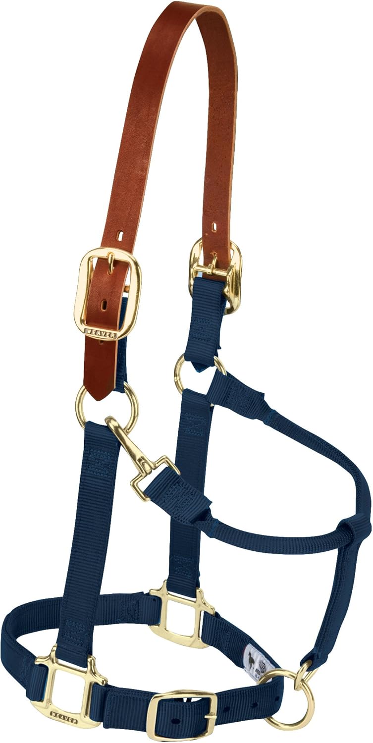 Weaver Equine Breakaway Horse Halter, Supple Leather Crown, Adjustable Chin & Throat Snap Halters for Horses, Equine Tack