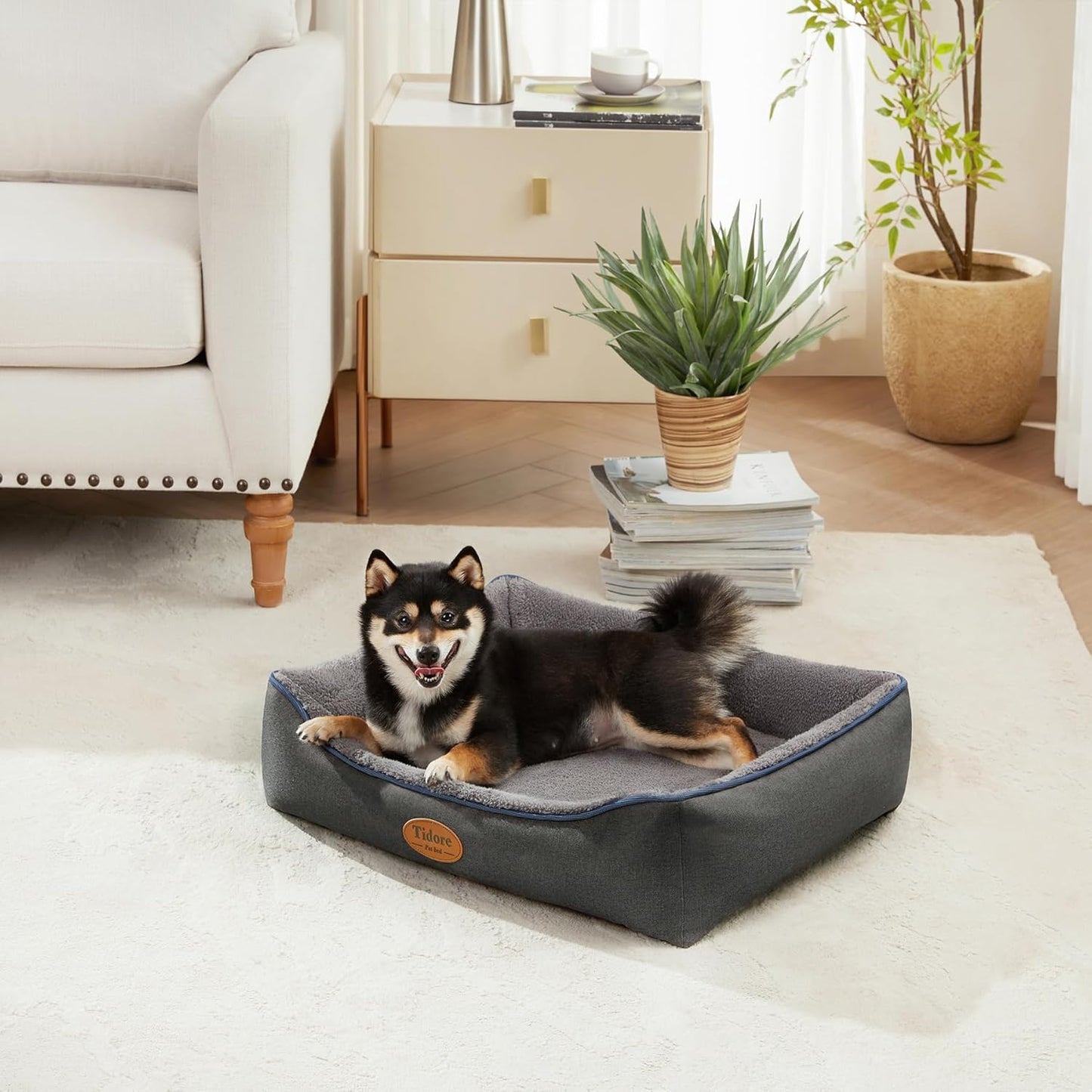 Orthopedic Dog Beds for Medium Dogs, Durable Egg Crate Foam Sofa Dog Bed wit Washable Removable Cover,Waterproof Lining,Pet Bed for Large Dogs (Dark Grey-Velvet, 26.4" L x 21.7" W x 6.2" Th)